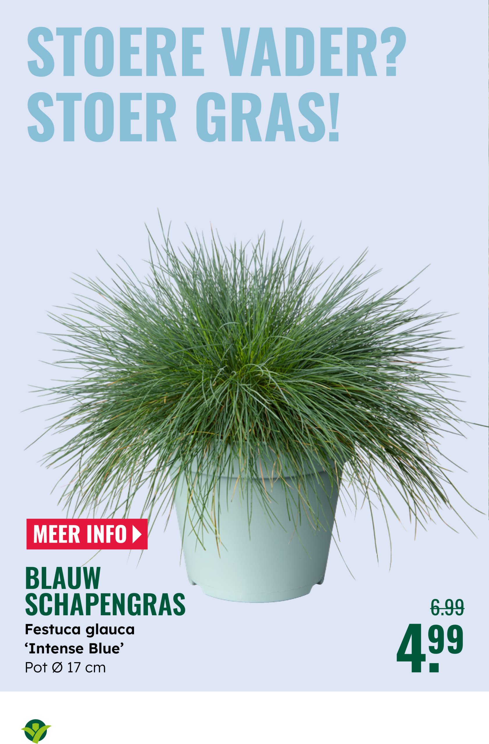 groenrijk - GroenRijk folder geldig vanaf 04-06 t/m 17-06 - page: 4