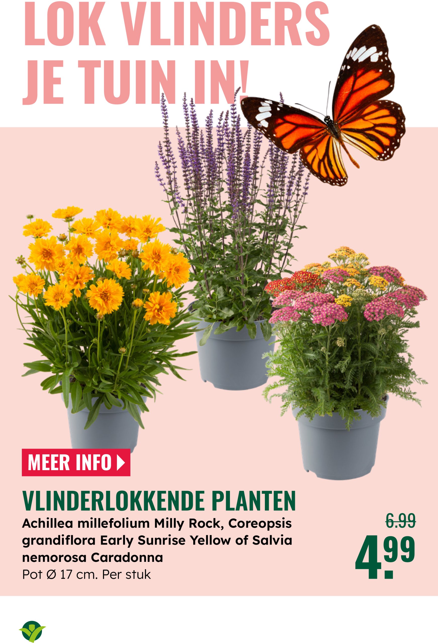 groenrijk - GroenRijk folder geldig vanaf 04-06 t/m 17-06 - page: 7