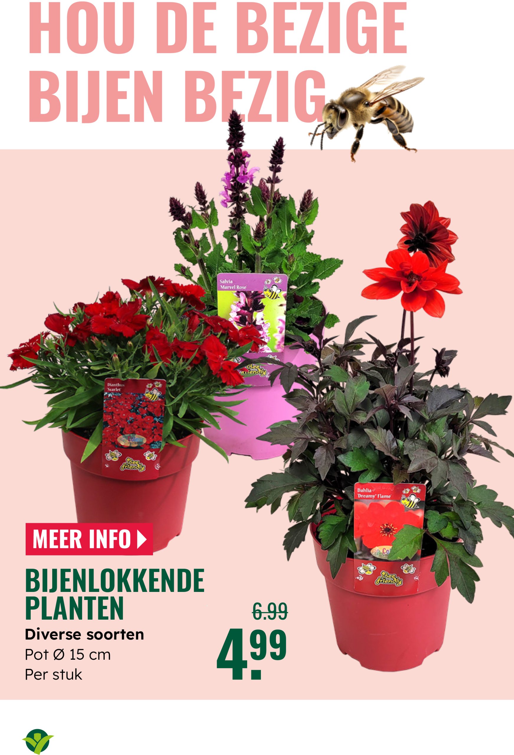 groenrijk - GroenRijk folder geldig vanaf 04-06 t/m 17-06 - page: 9
