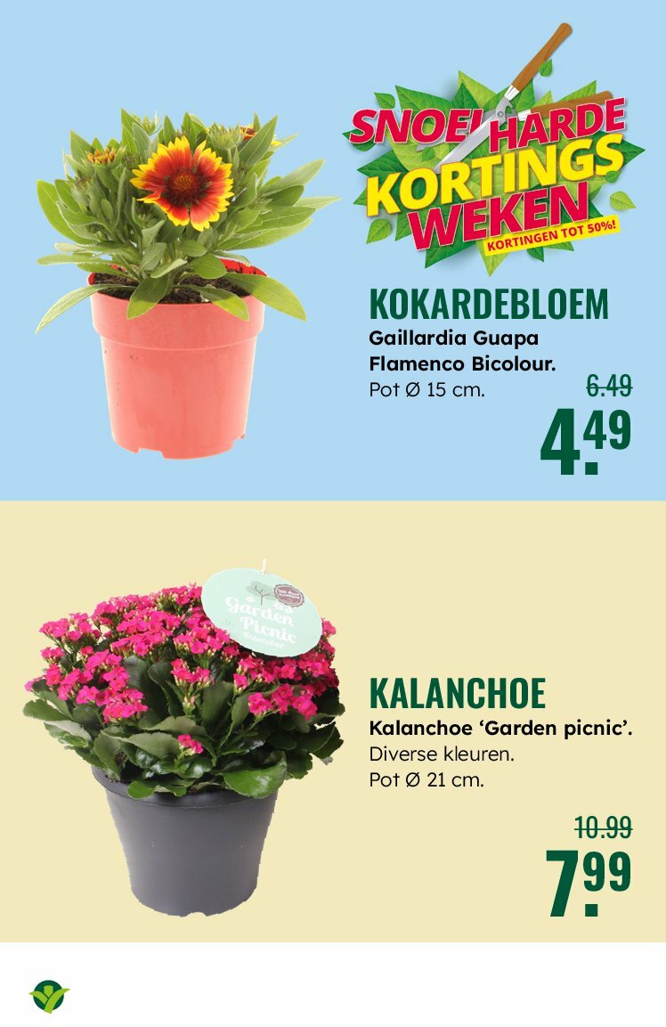 groenrijk - GroenRijk folder geldig vanaf 30-07 t/m 12-08 - page: 11