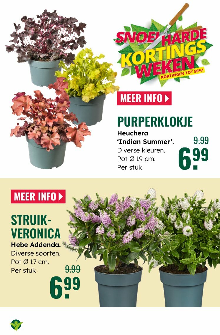 groenrijk - GroenRijk folder geldig vanaf 30-07 t/m 12-08 - page: 7