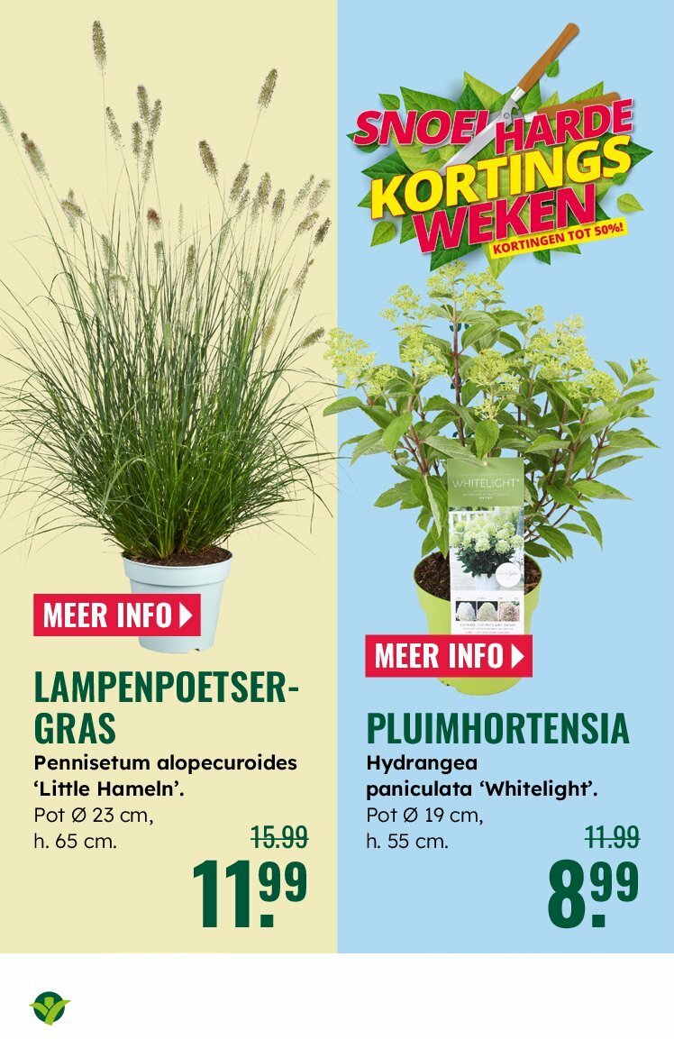 groenrijk - GroenRijk folder geldig vanaf 30-07 t/m 12-08 - page: 3