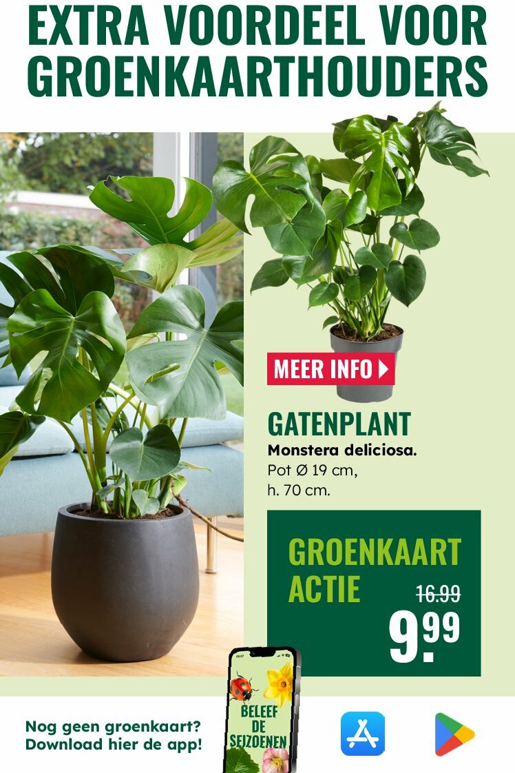 groenrijk - GroenRijk folder geldig vanaf 30-07 t/m 12-08 - page: 5