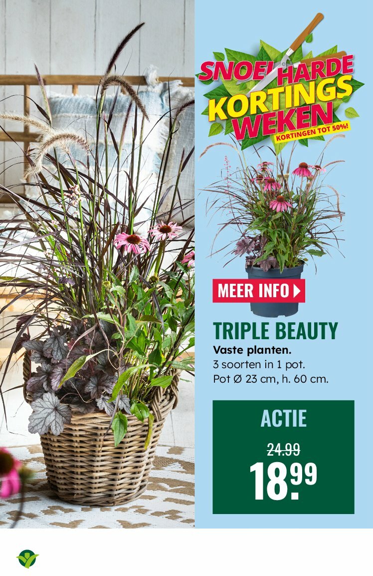 groenrijk - GroenRijk folder geldig vanaf 30-07 t/m 12-08 - page: 4