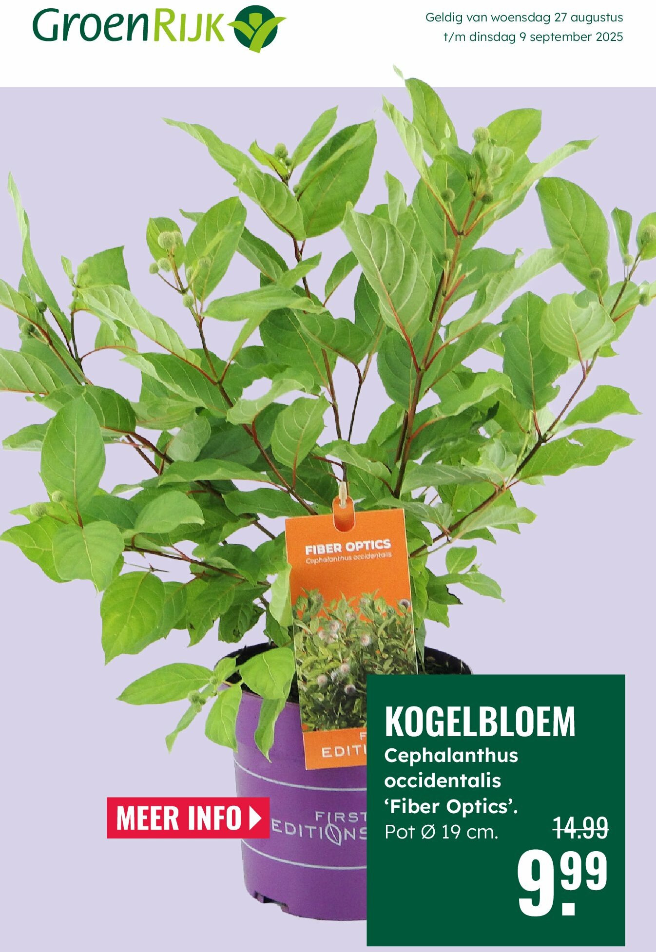 groenrijk - GroenRijk folder geldig vanaf 27-08 t/m 09-09