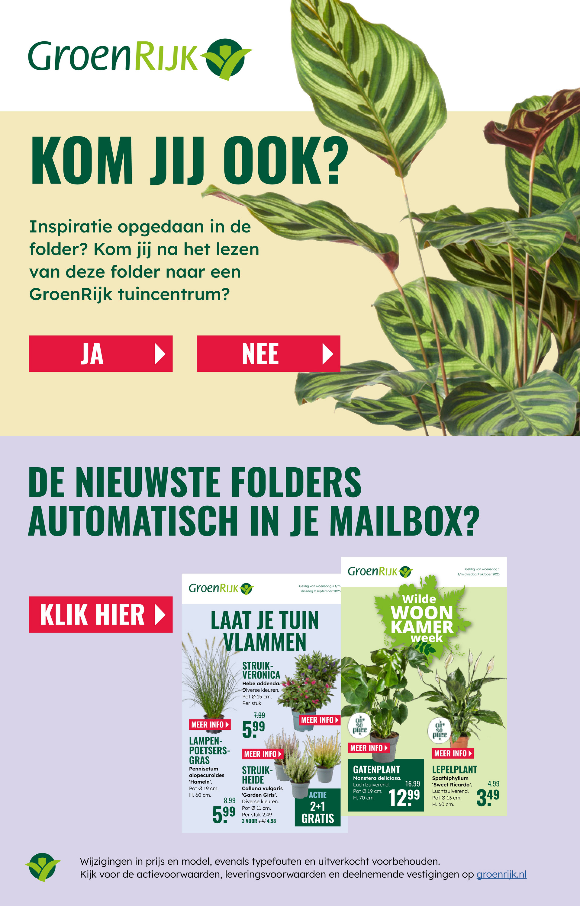 groenrijk - De GroenRijk folder geldig vanaf 22-10 t/m 28-10 - page: 16