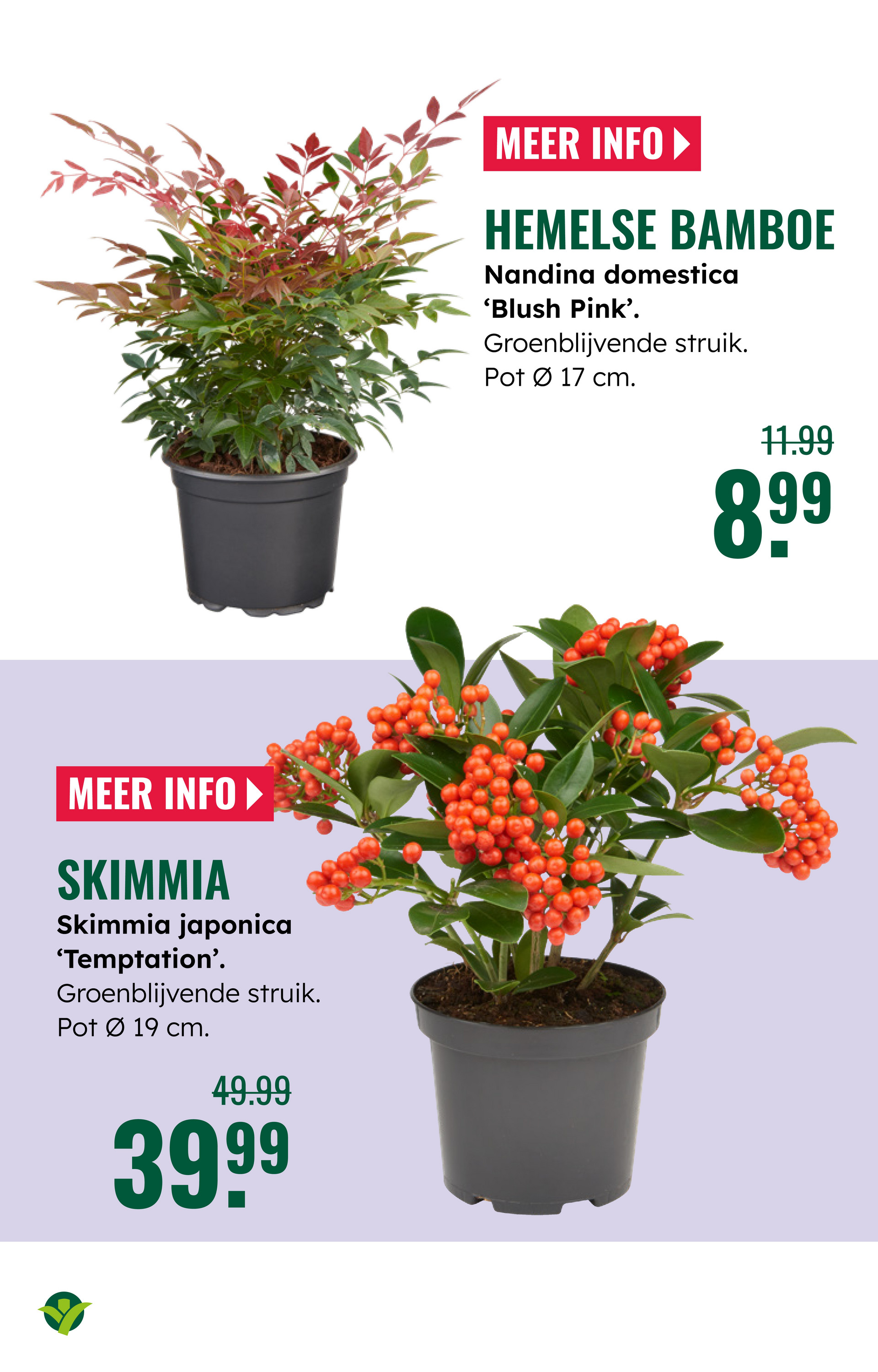 groenrijk - De GroenRijk folder geldig vanaf 22-10 t/m 28-10 - page: 12