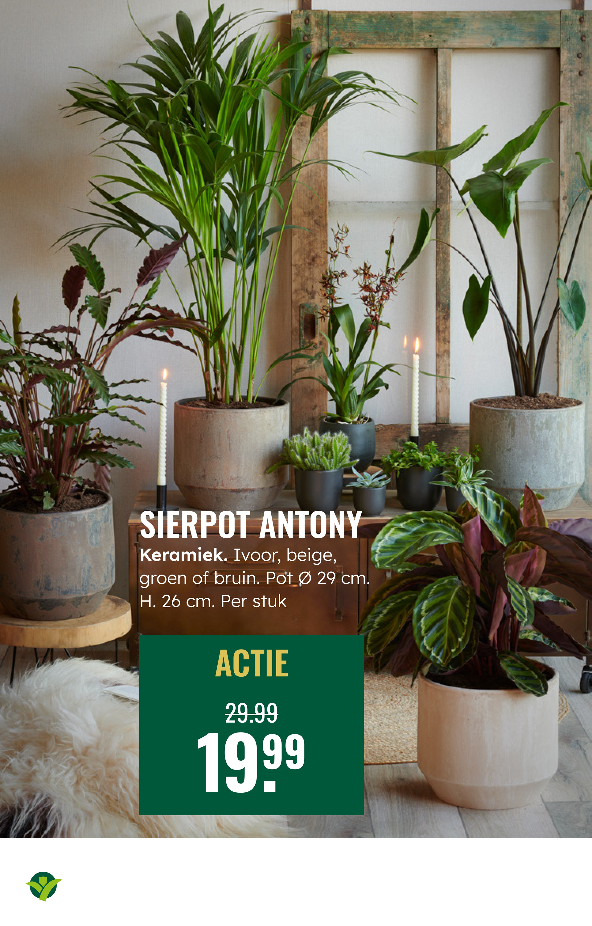 groenrijk - De GroenRijk folder geldig vanaf 22-10 t/m 28-10 - page: 4