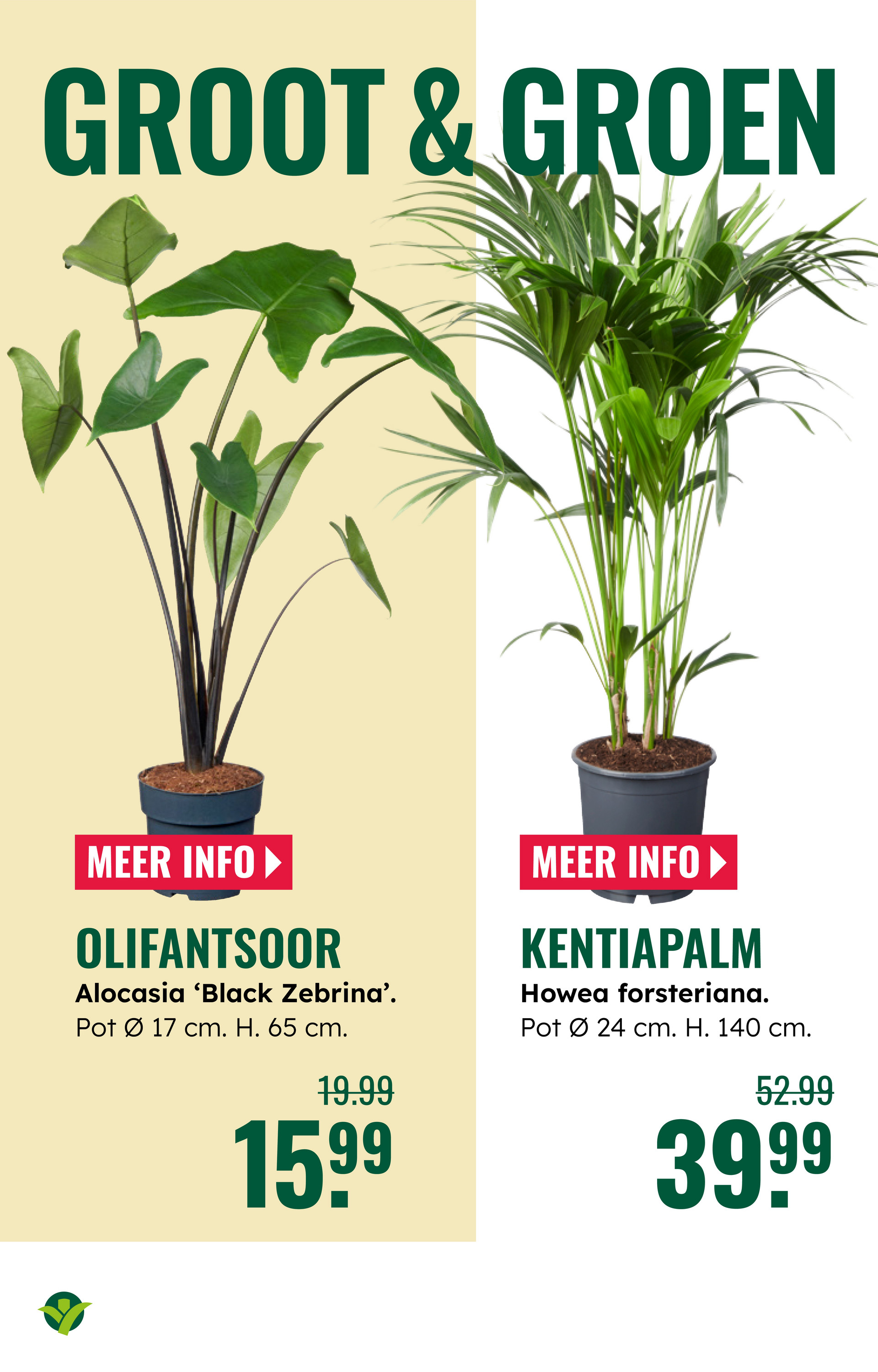 groenrijk - De GroenRijk folder geldig vanaf 22-10 t/m 28-10 - page: 5