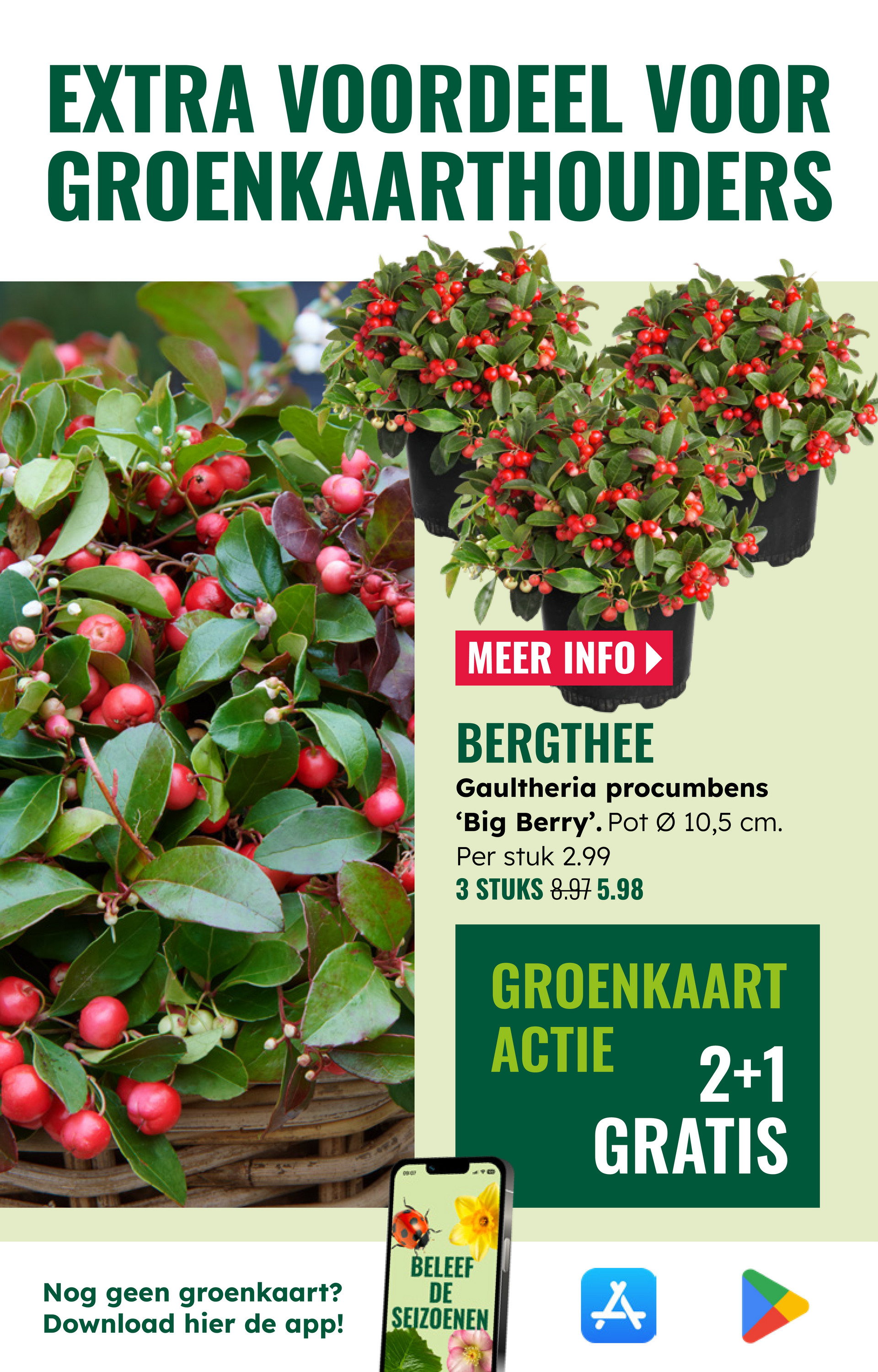 groenrijk - De GroenRijk folder geldig vanaf 22-10 t/m 28-10 - page: 7
