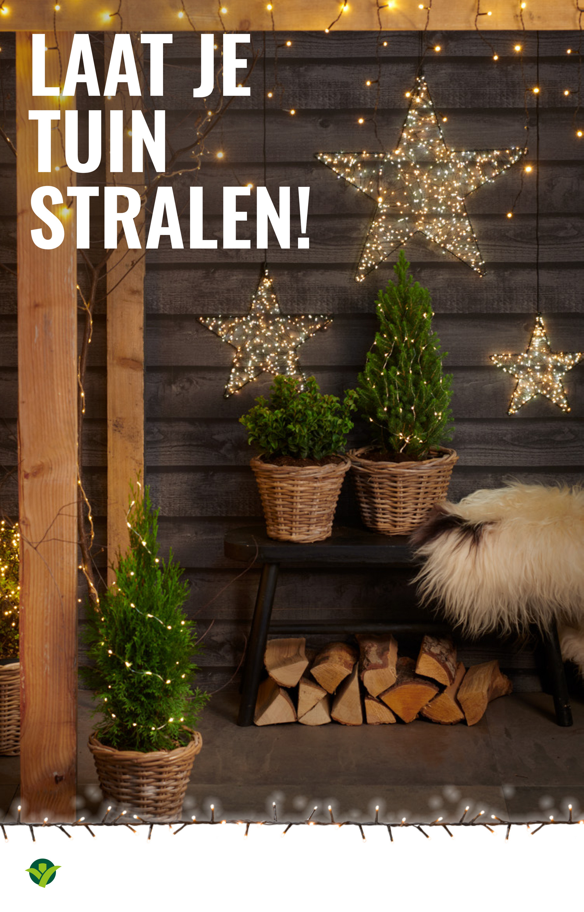 groenrijk - De GroenRijk folder geldig vanaf 19-11 t/m 25-11 - page: 12