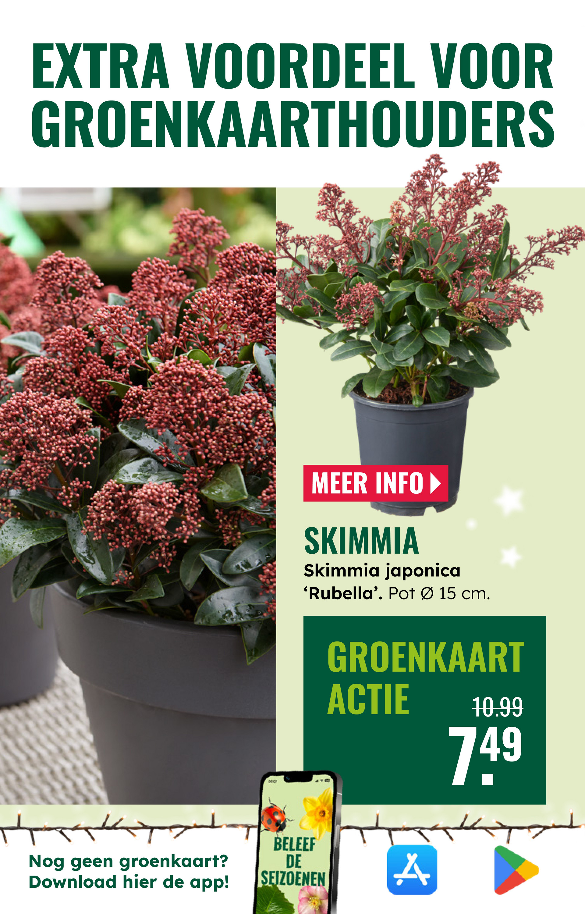 groenrijk - De GroenRijk folder geldig vanaf 03-12 t/m 09-12 - page: 26