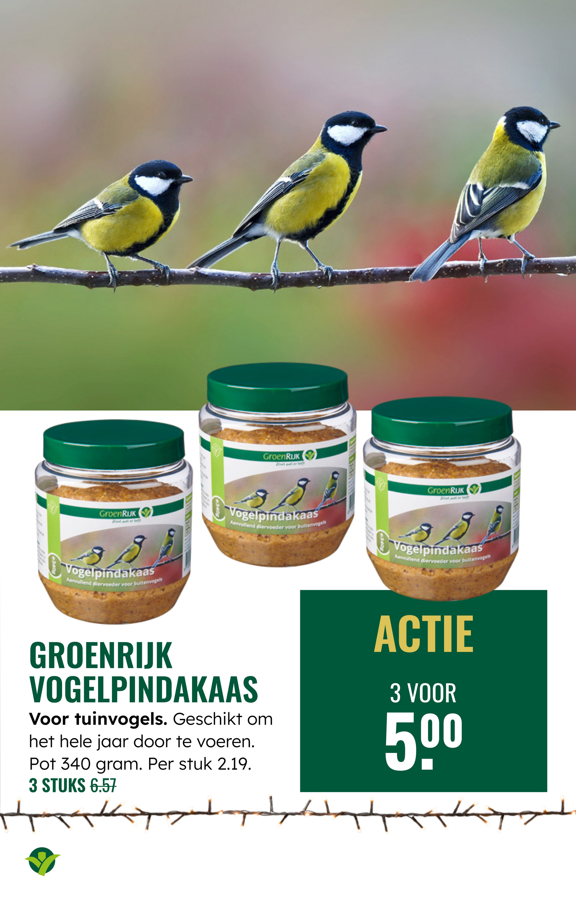 groenrijk - De GroenRijk folder geldig vanaf 03-12 t/m 09-12 - page: 25