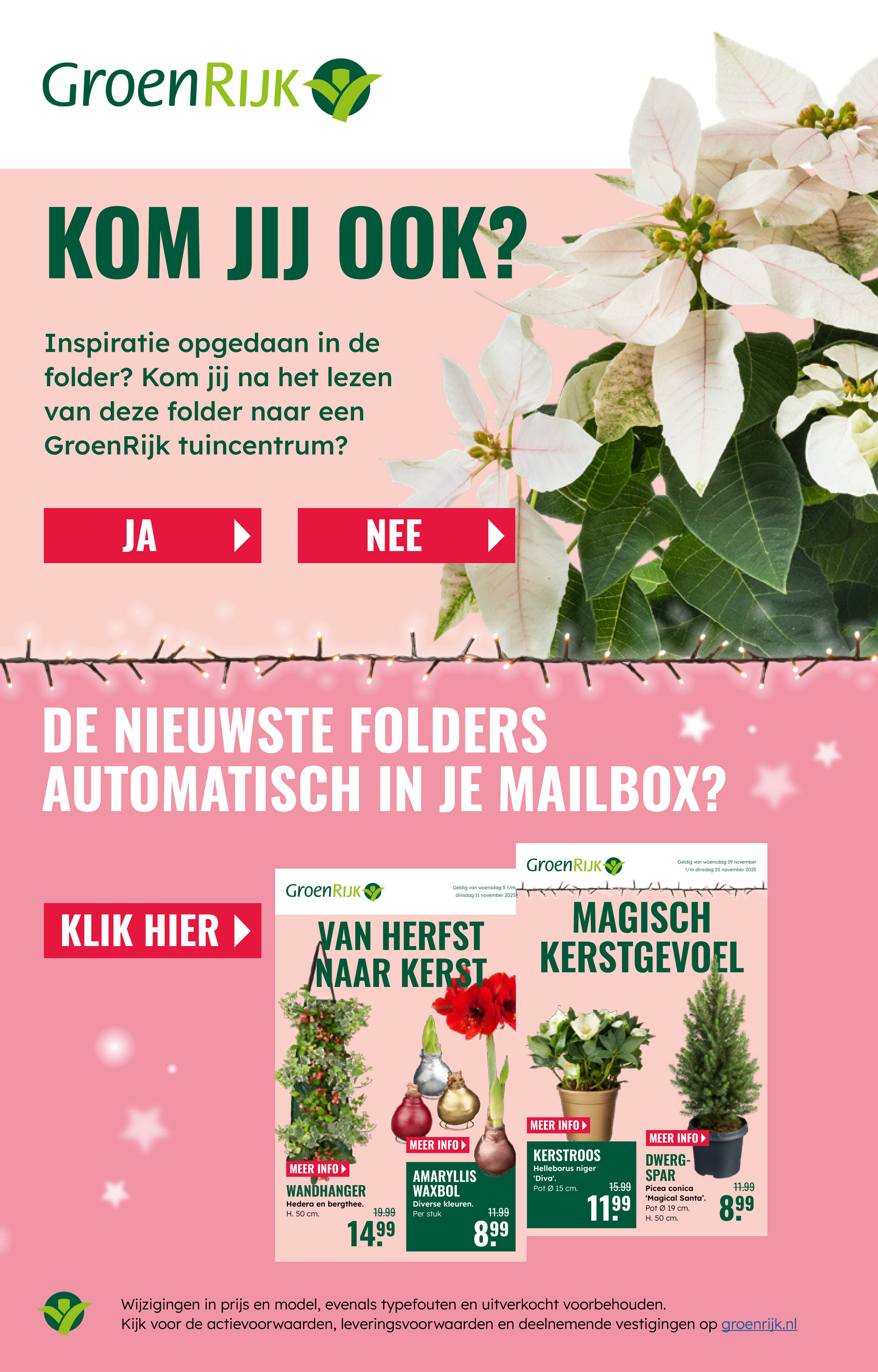 groenrijk - De GroenRijk folder geldig vanaf 03-12 t/m 09-12 - page: 29