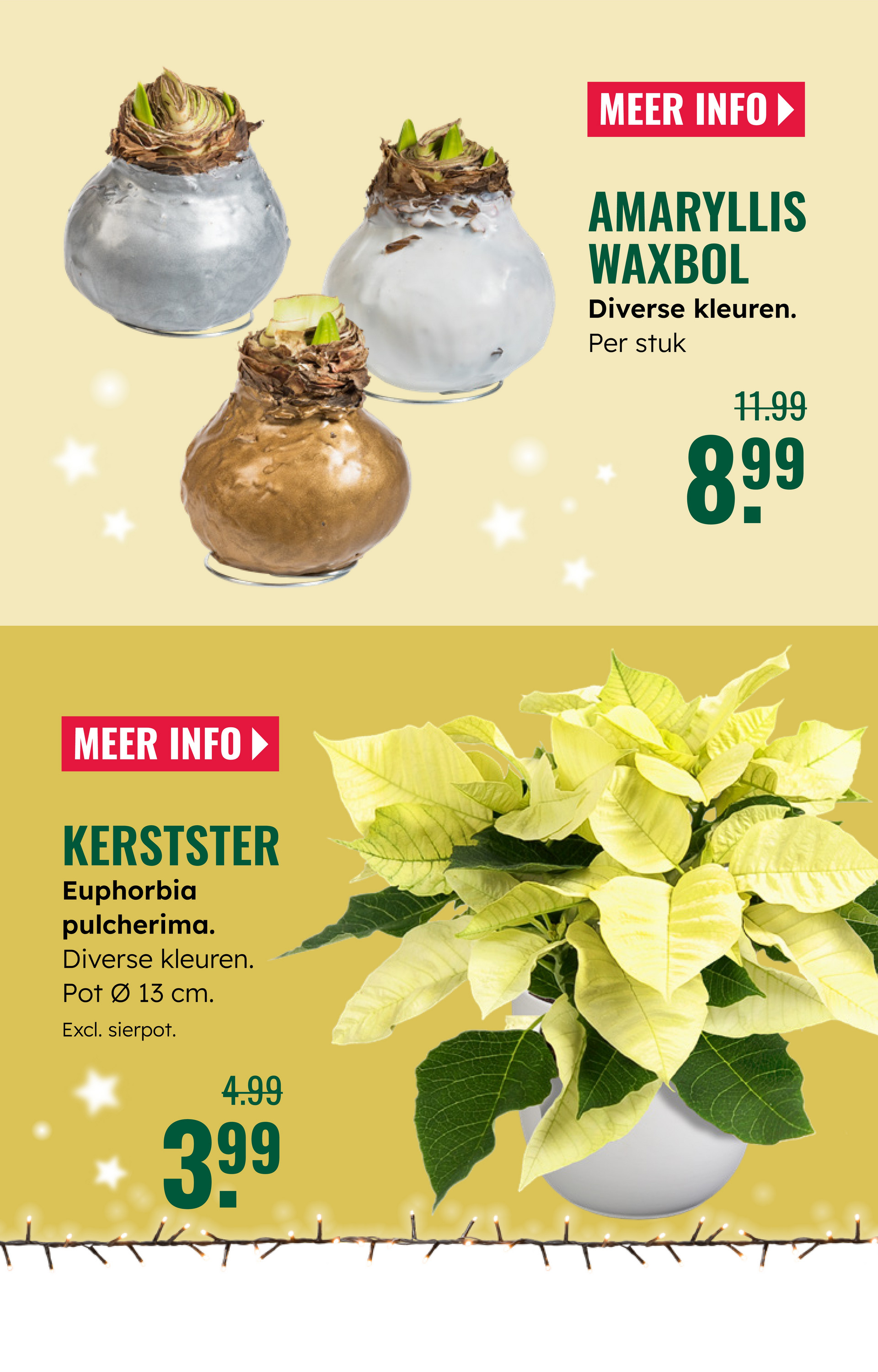 groenrijk - De GroenRijk folder geldig vanaf 03-12 t/m 09-12 - page: 4