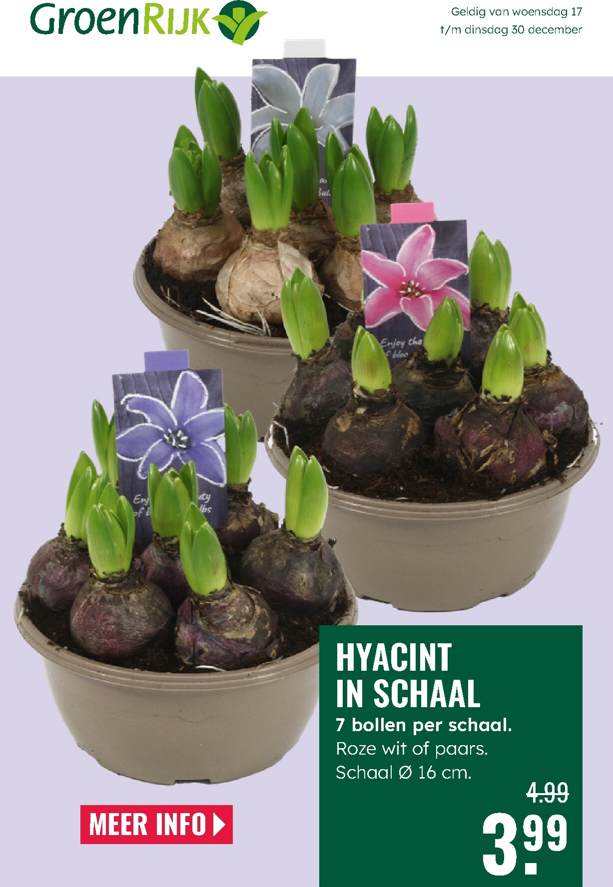 groenrijk - De GroenRijk folder geldig vanaf 17-12 t/m 30-12