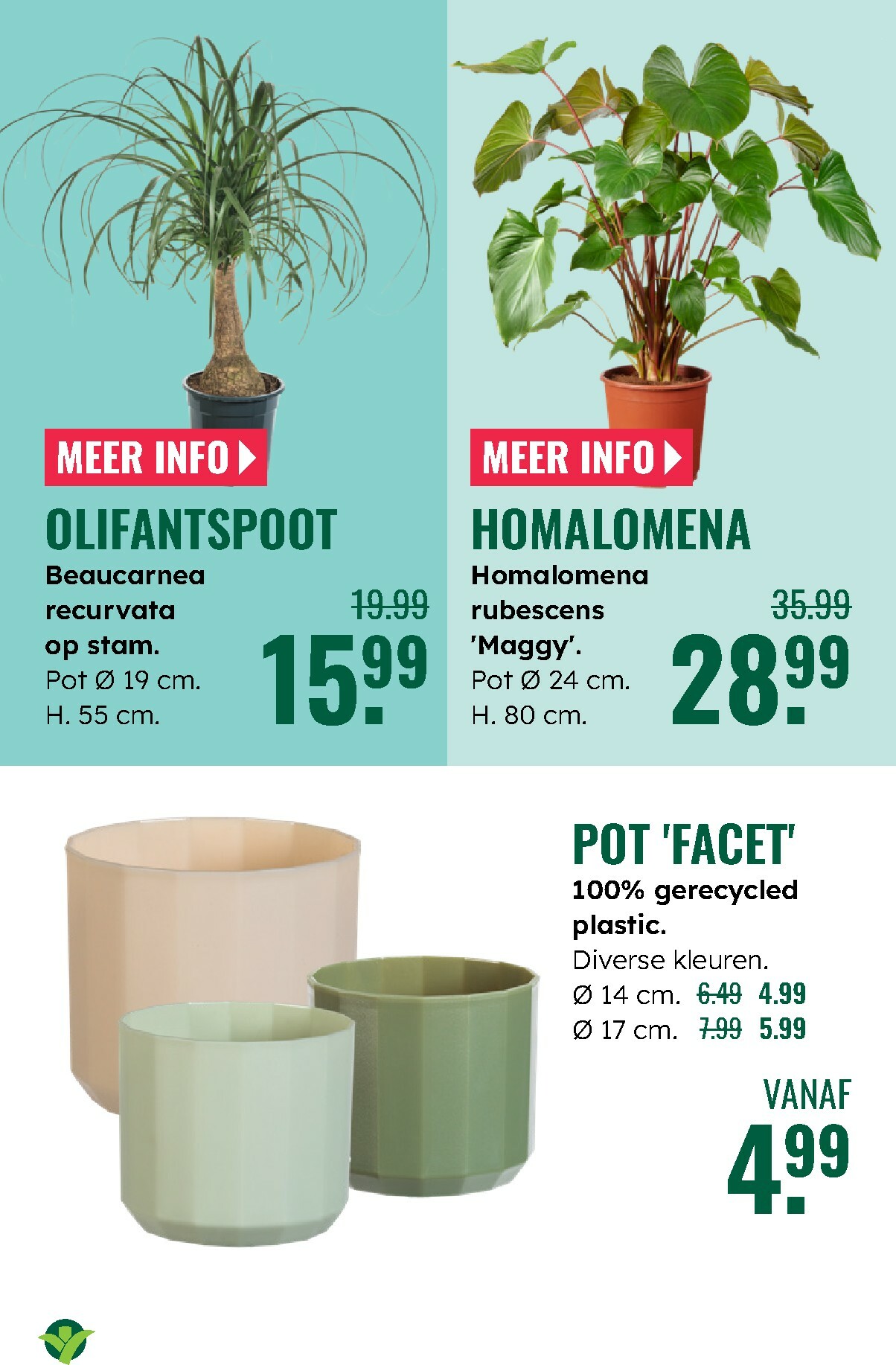 groenrijk - De GroenRijk folder geldig vanaf 27-12 t/m 07-01 - page: 6