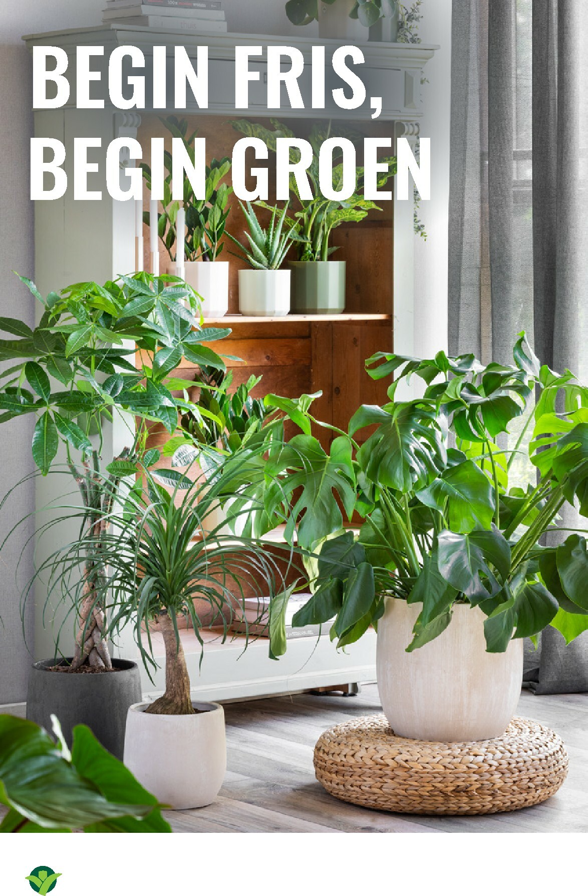 groenrijk - De GroenRijk folder geldig vanaf 27-12 t/m 07-01 - page: 4