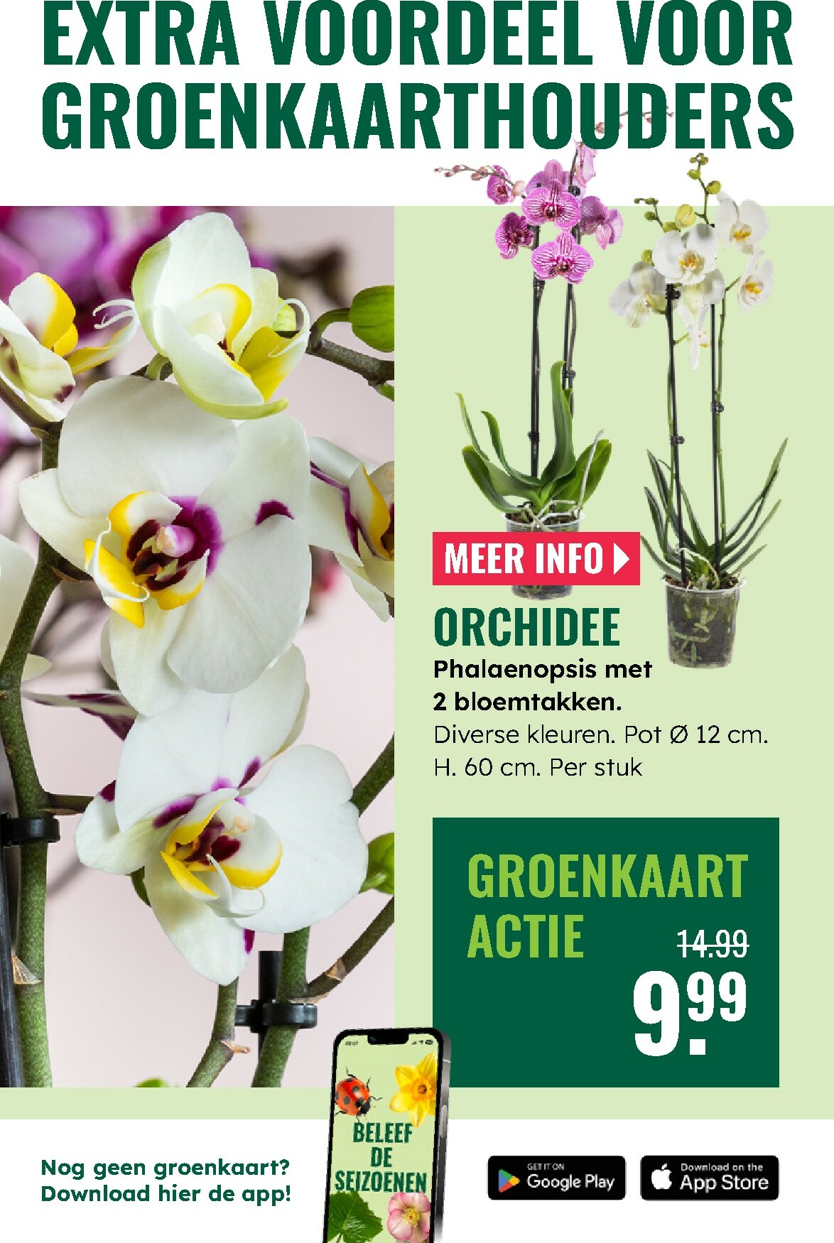 groenrijk - De GroenRijk folder geldig vanaf 27-12 t/m 07-01 - page: 17