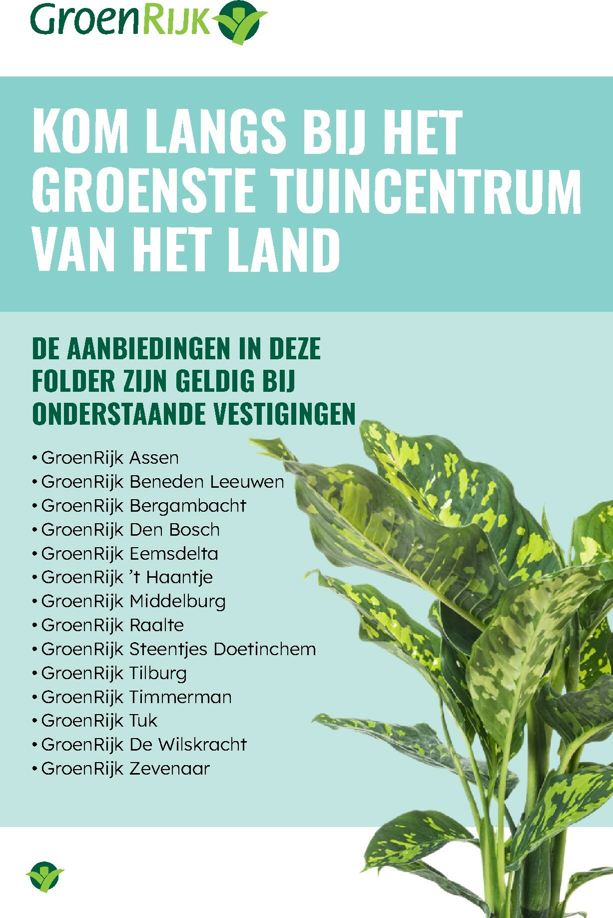 groenrijk - De GroenRijk folder geldig vanaf 27-12 t/m 07-01 - page: 2