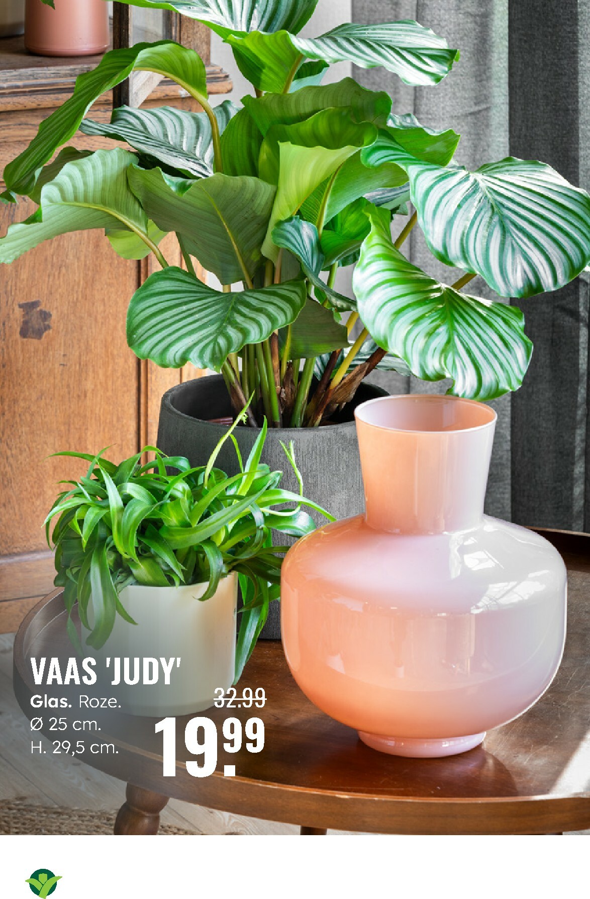 groenrijk - De GroenRijk folder geldig vanaf 27-12 t/m 07-01 - page: 12