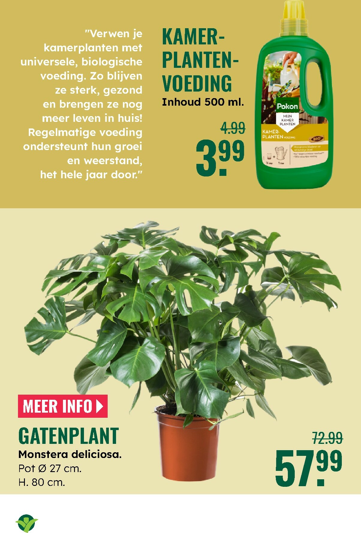 groenrijk - De GroenRijk folder geldig vanaf 27-12 t/m 07-01 - page: 9