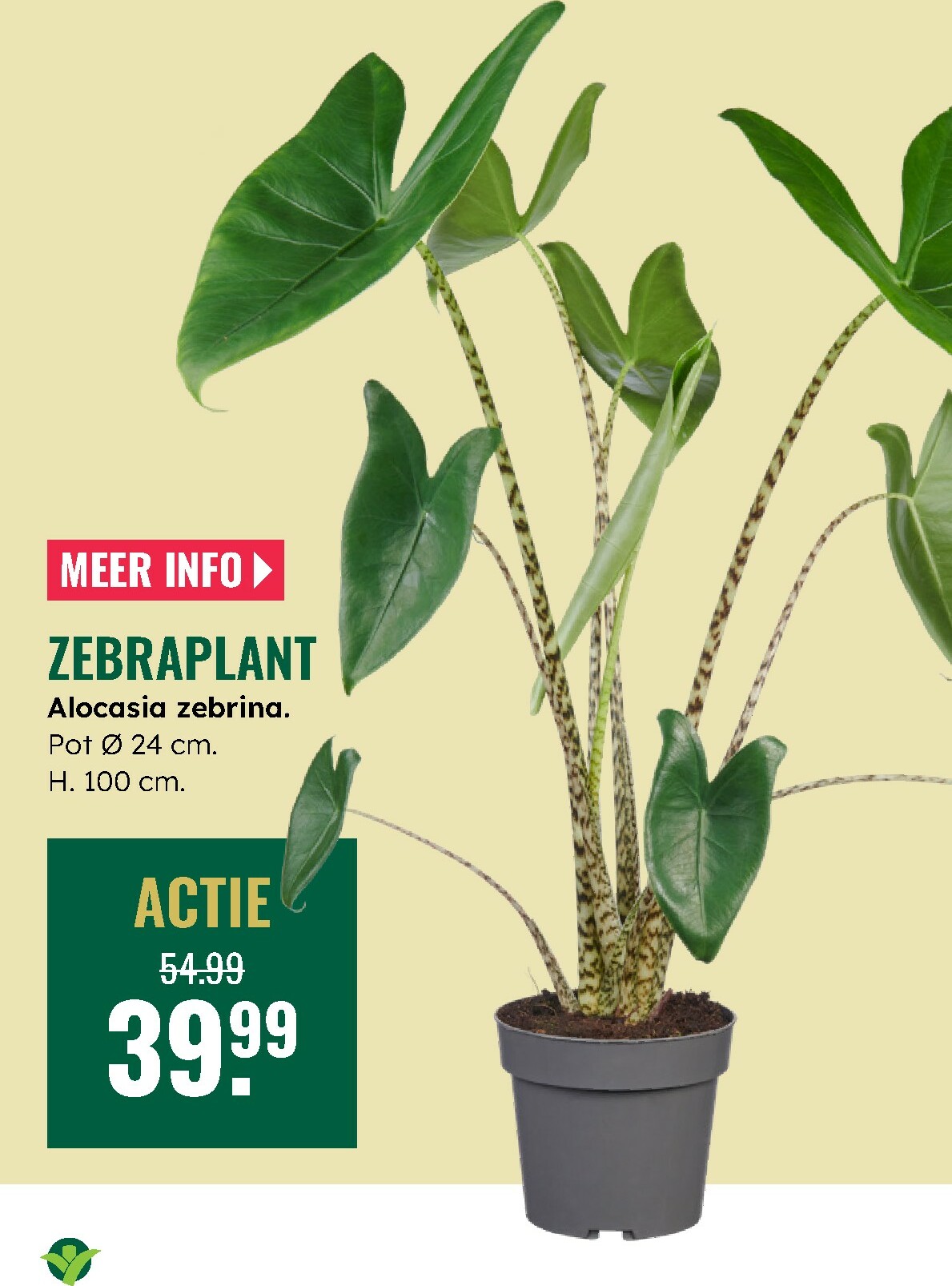 groenrijk - De GroenRijk folder geldig vanaf 12-02-2026 t/m 18-02-2026 - page: 12