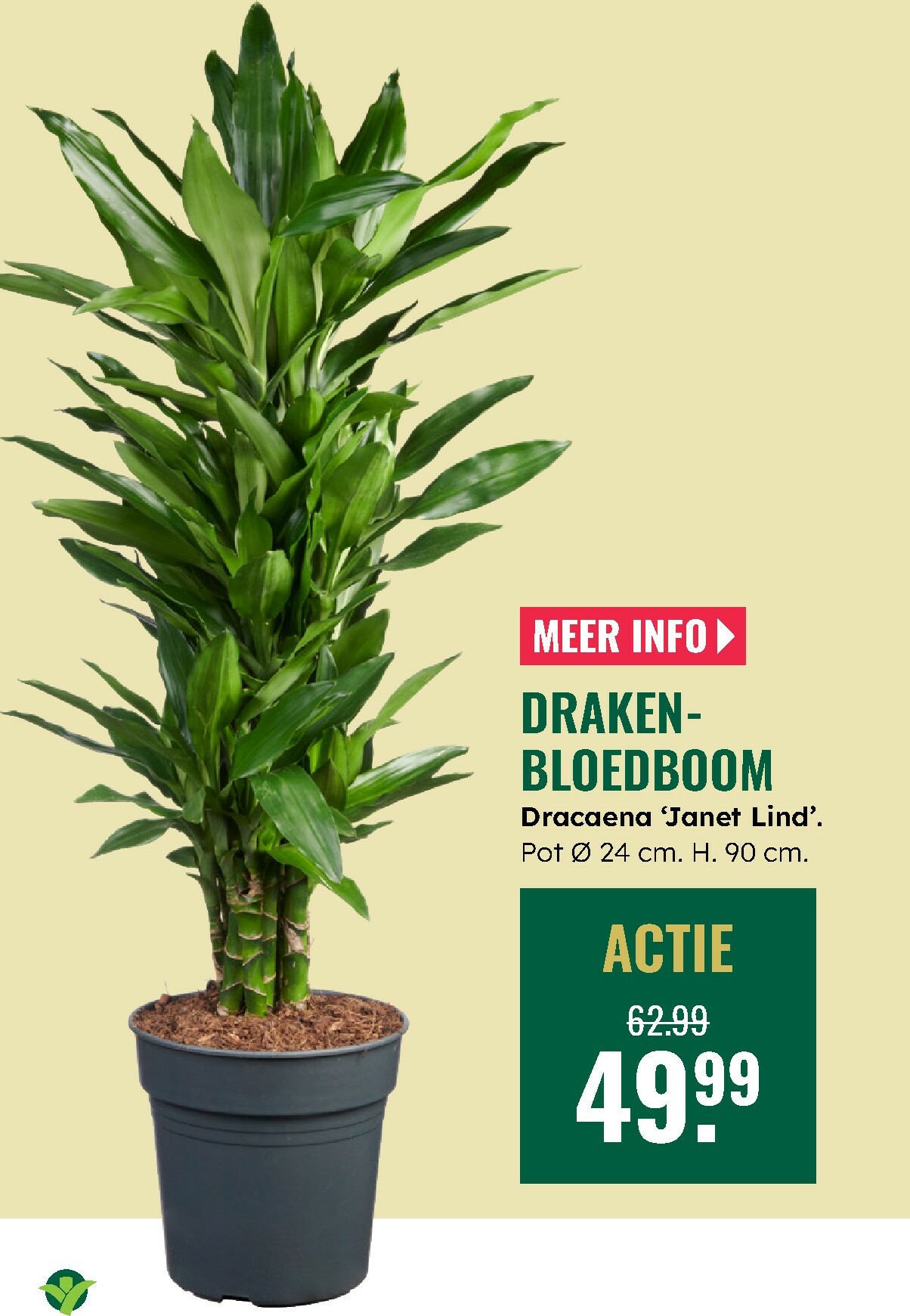 groenrijk - De GroenRijk folder geldig vanaf 12-02-2026 t/m 18-02-2026 - page: 8