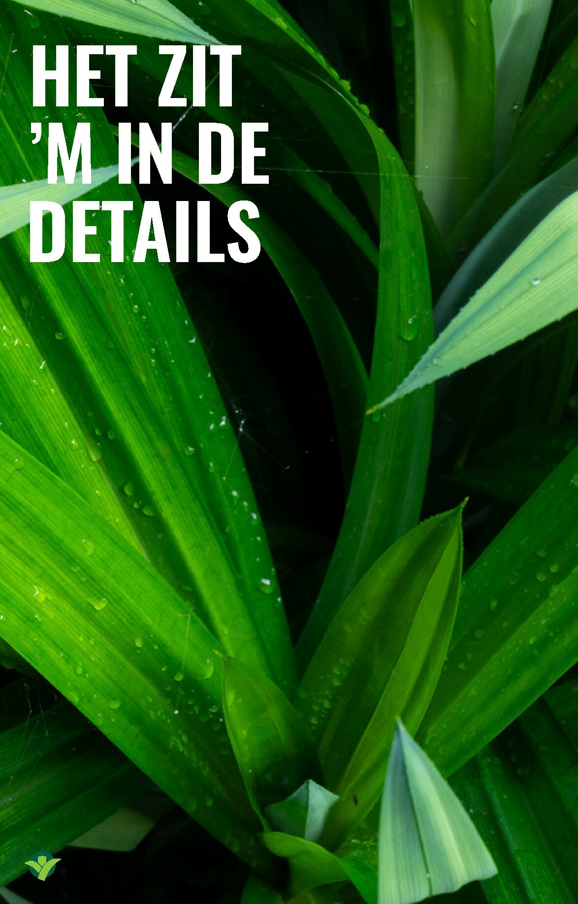 groenrijk - De GroenRijk folder geldig vanaf 12-02-2026 t/m 18-02-2026 - page: 7