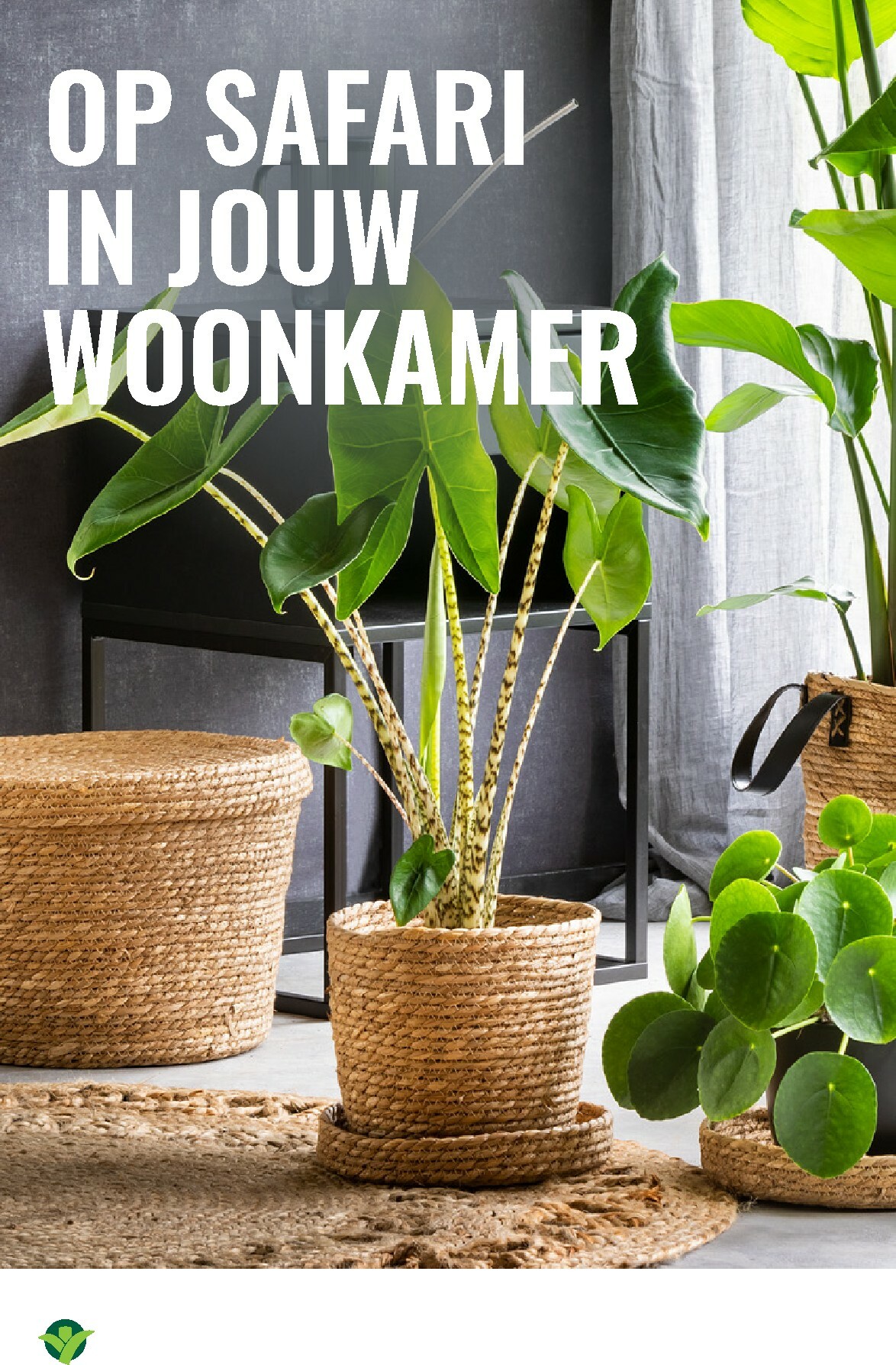 groenrijk - De GroenRijk folder geldig vanaf 12-02-2026 t/m 18-02-2026 - page: 11