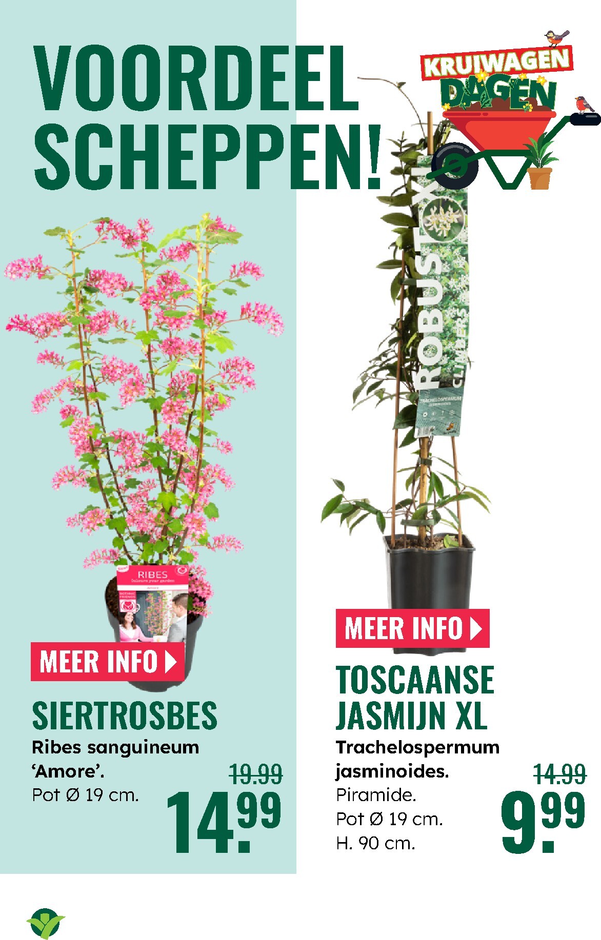 groenrijk - De GroenRijk folder geldig vanaf 05-03-2026 t/m 11-03-2026 - page: 6