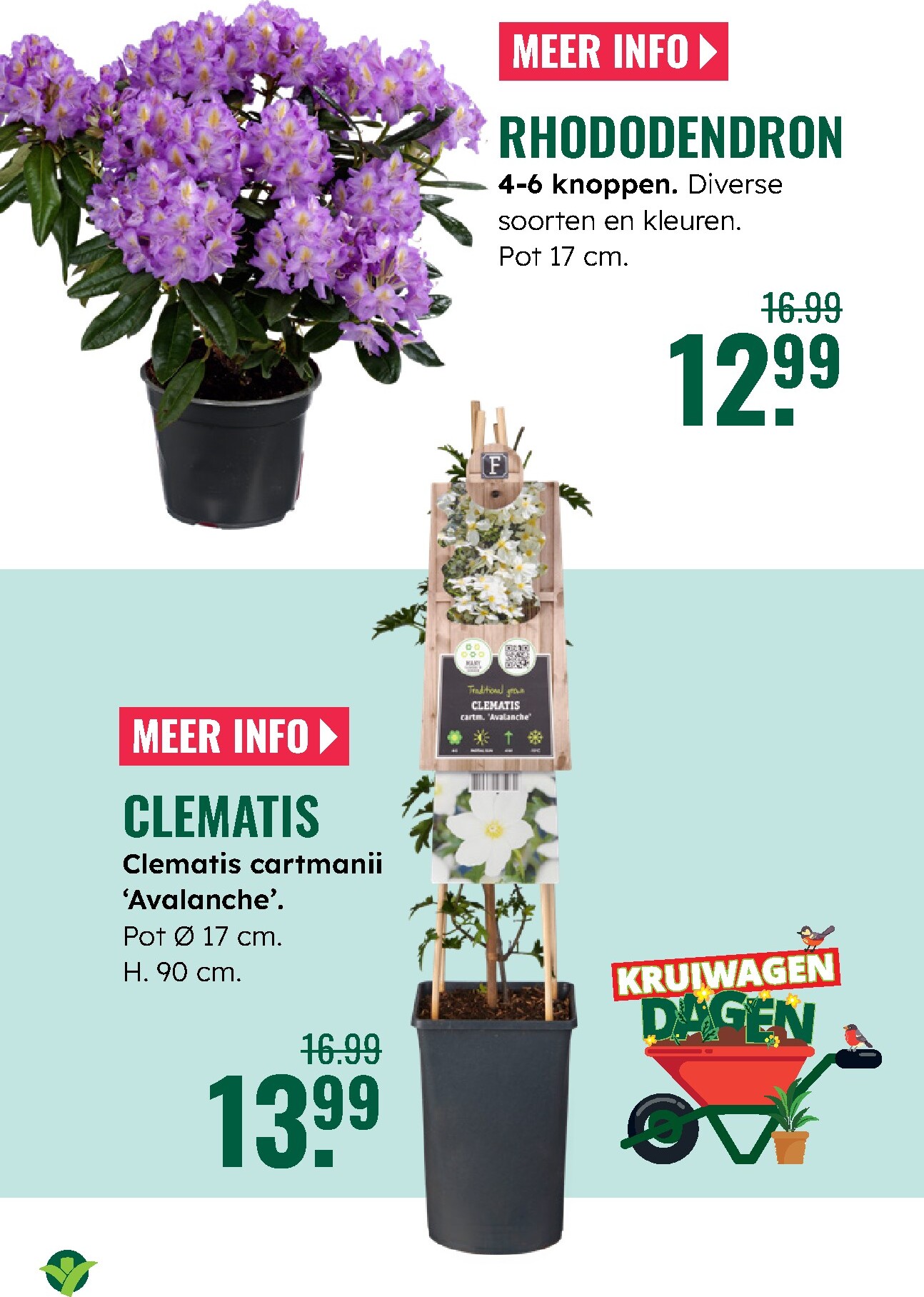 groenrijk - De GroenRijk folder geldig vanaf 05-03-2026 t/m 11-03-2026 - page: 13