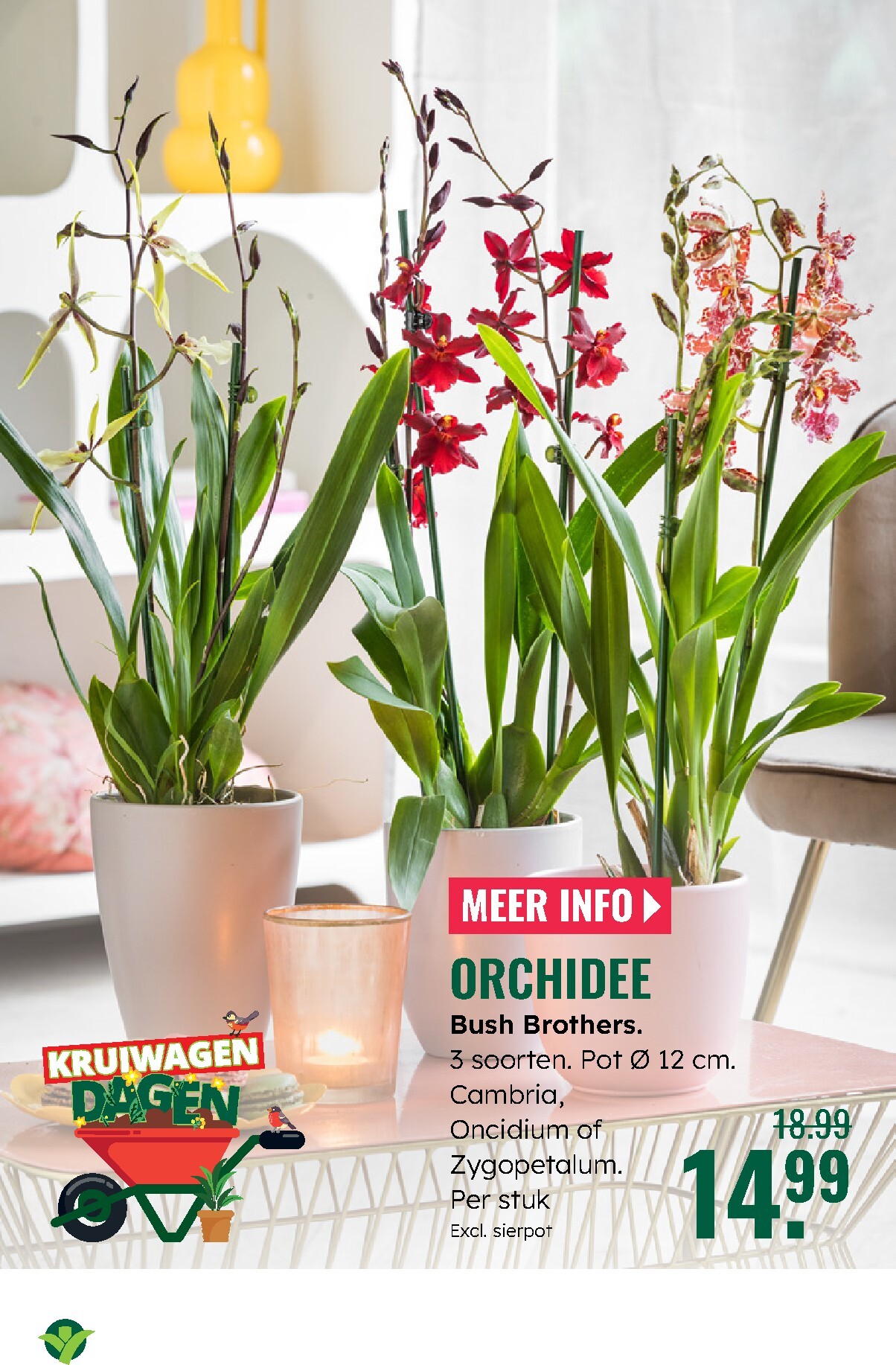 groenrijk - De GroenRijk folder geldig vanaf 05-03-2026 t/m 11-03-2026 - page: 18