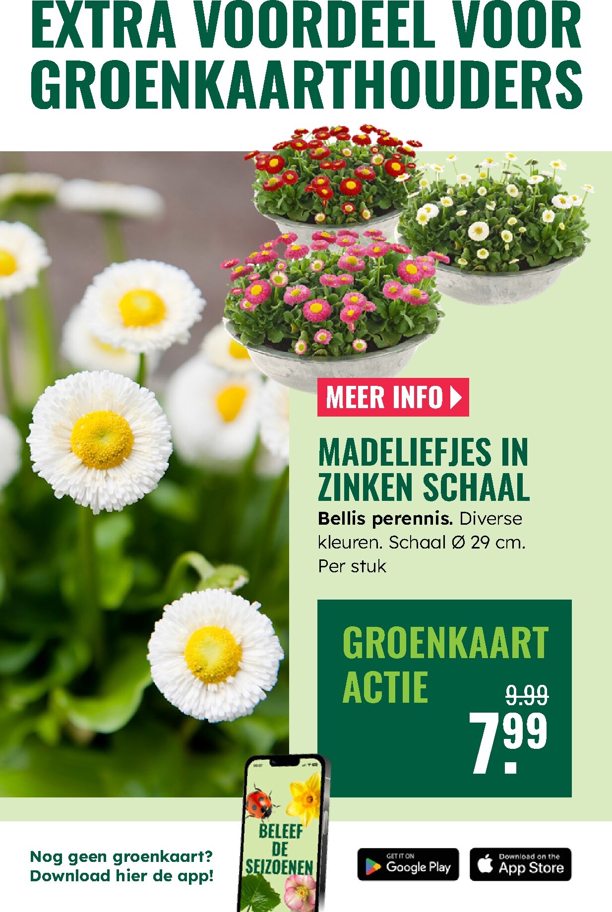 groenrijk - De GroenRijk folder geldig vanaf 05-03-2026 t/m 11-03-2026 - page: 11