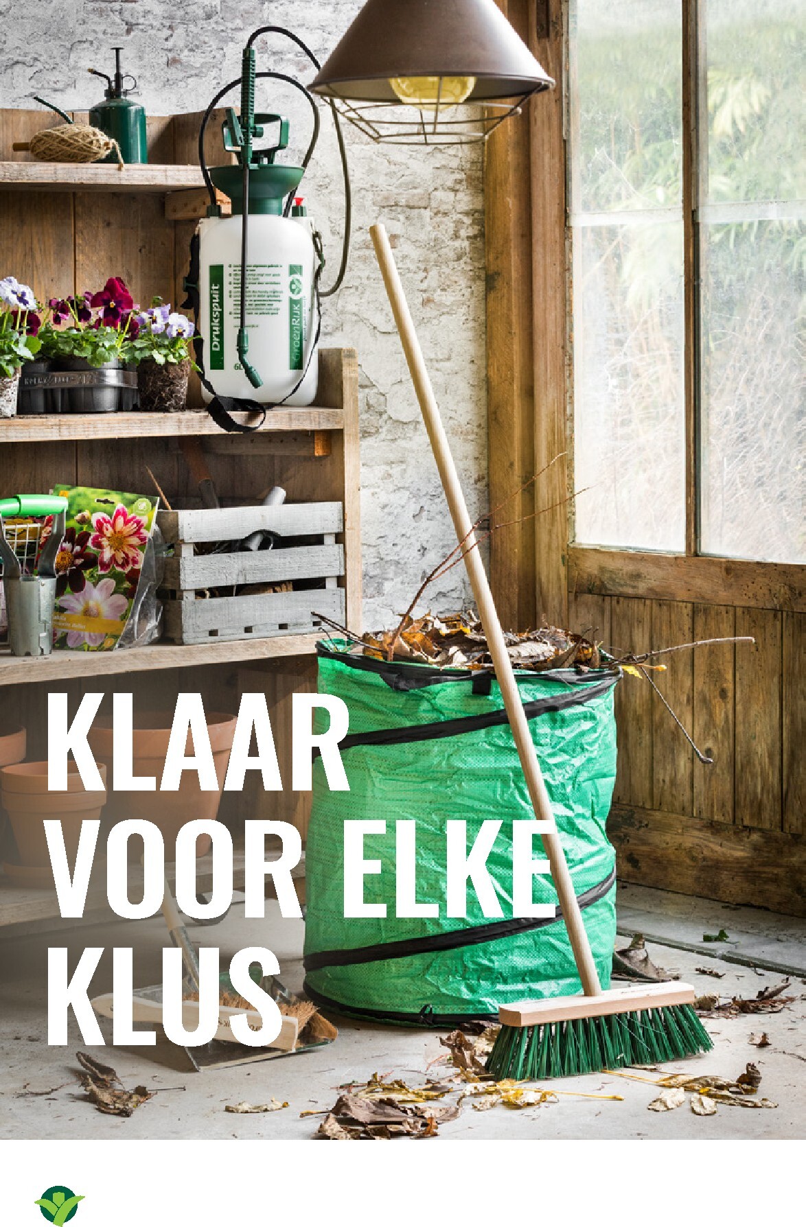 groenrijk - De GroenRijk folder geldig vanaf 19-03-2026 t/m 25-03-2026 - page: 12