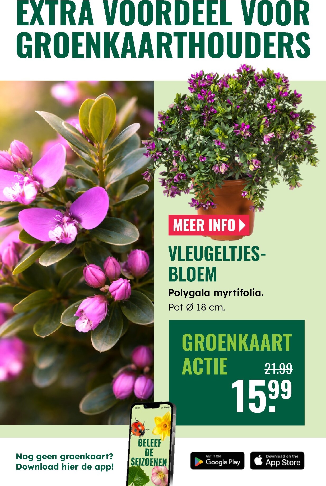 groenrijk - De GroenRijk folder geldig vanaf 19-03-2026 t/m 25-03-2026 - page: 3