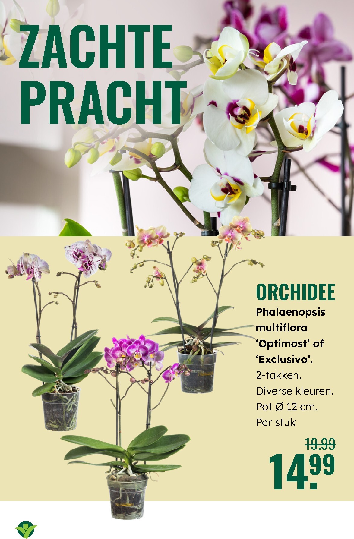 groenrijk - De GroenRijk folder geldig vanaf 19-03-2026 t/m 25-03-2026 - page: 10