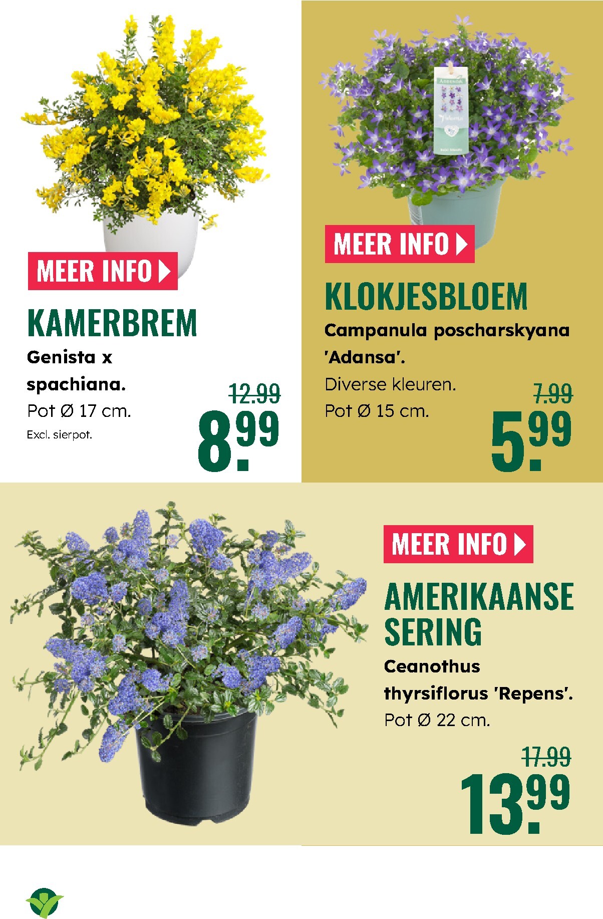 groenrijk - De GroenRijk folder geldig vanaf 19-03-2026 t/m 25-03-2026 - page: 7