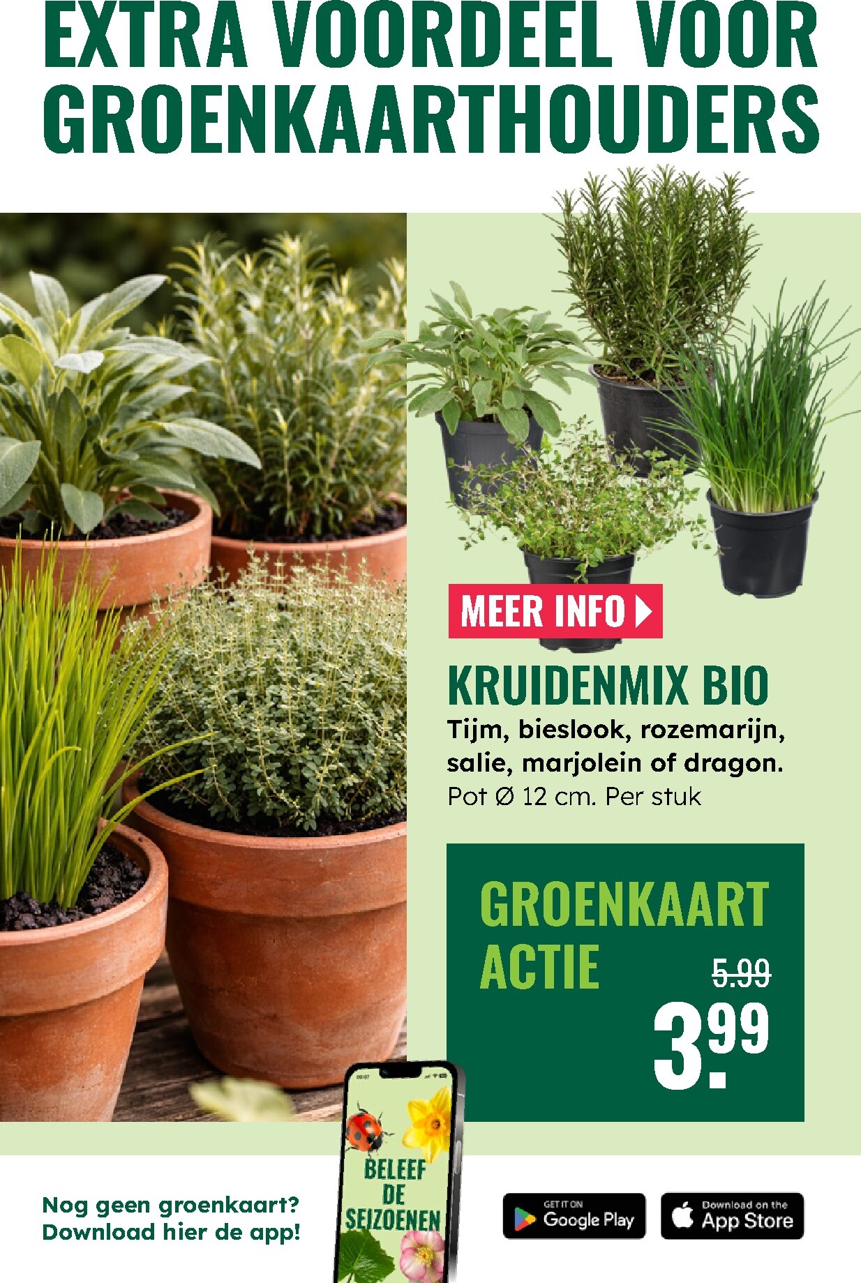 groenrijk - De GroenRijk folder geldig vanaf 19-03-2026 t/m 25-03-2026 - page: 11