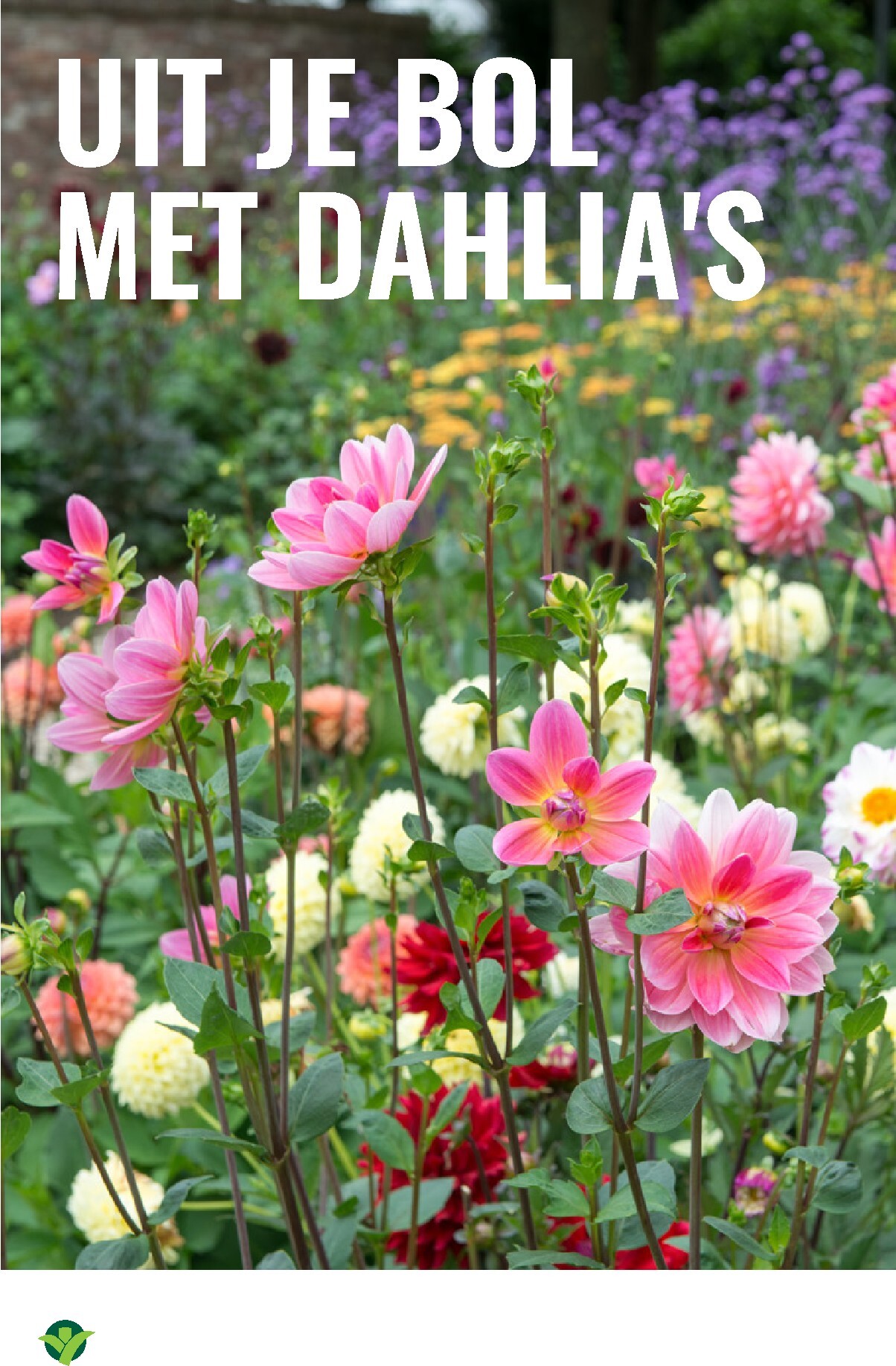 groenrijk - De GroenRijk folder geldig vanaf 19-03-2026 t/m 25-03-2026 - page: 16