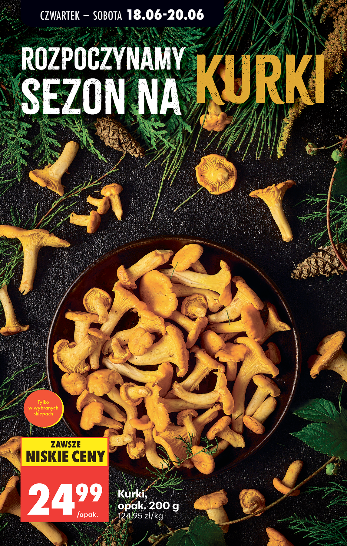 biedronka - Aktualna gazetka Biedronka - Codziennie niskie ceny ważna od 18.06.2026 do 20.06.2026 - page: 37