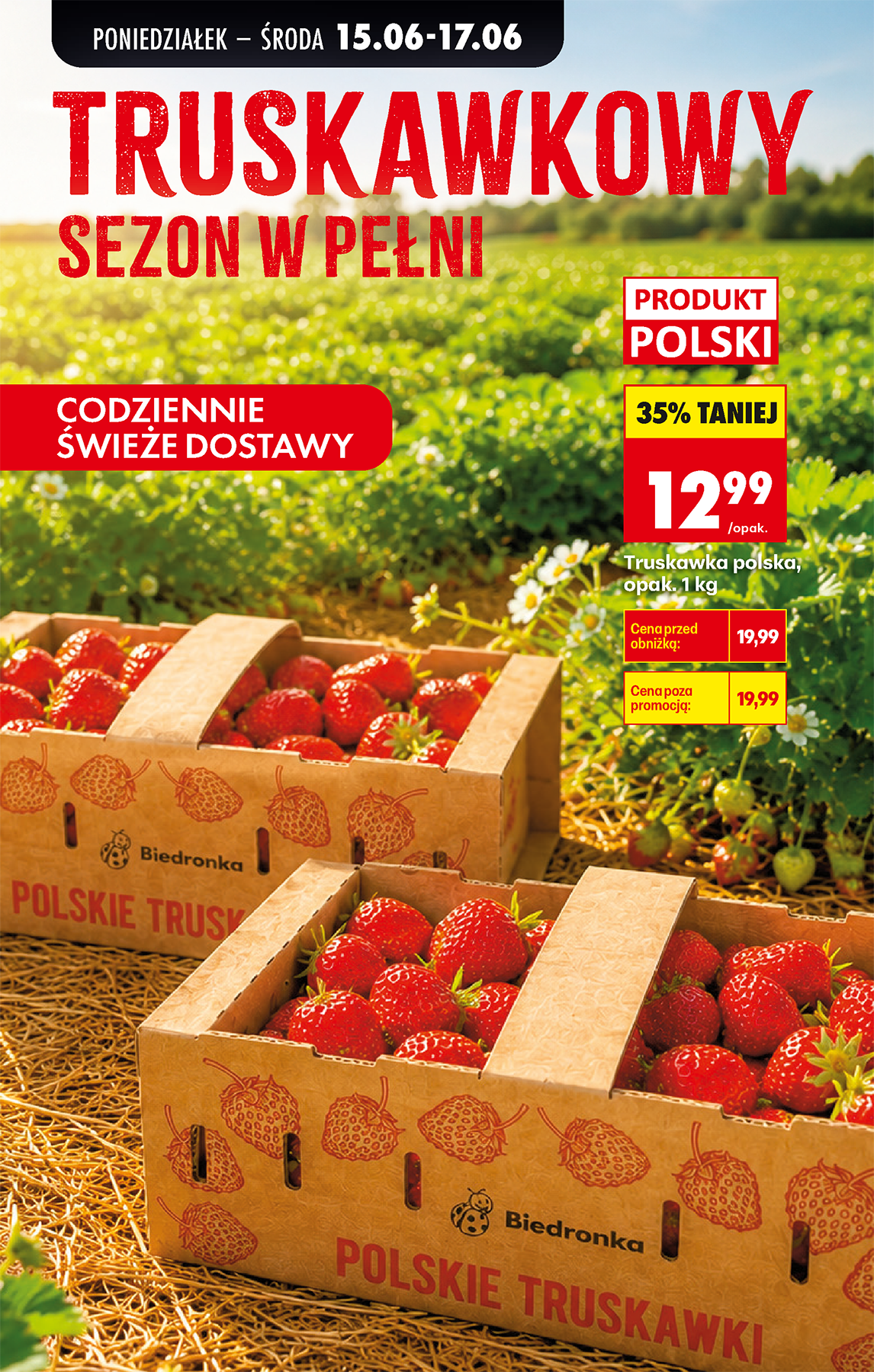 biedronka - Aktualna gazetka Biedronka ważna od 15.06.2026 do 20.06.2026 - page: 31