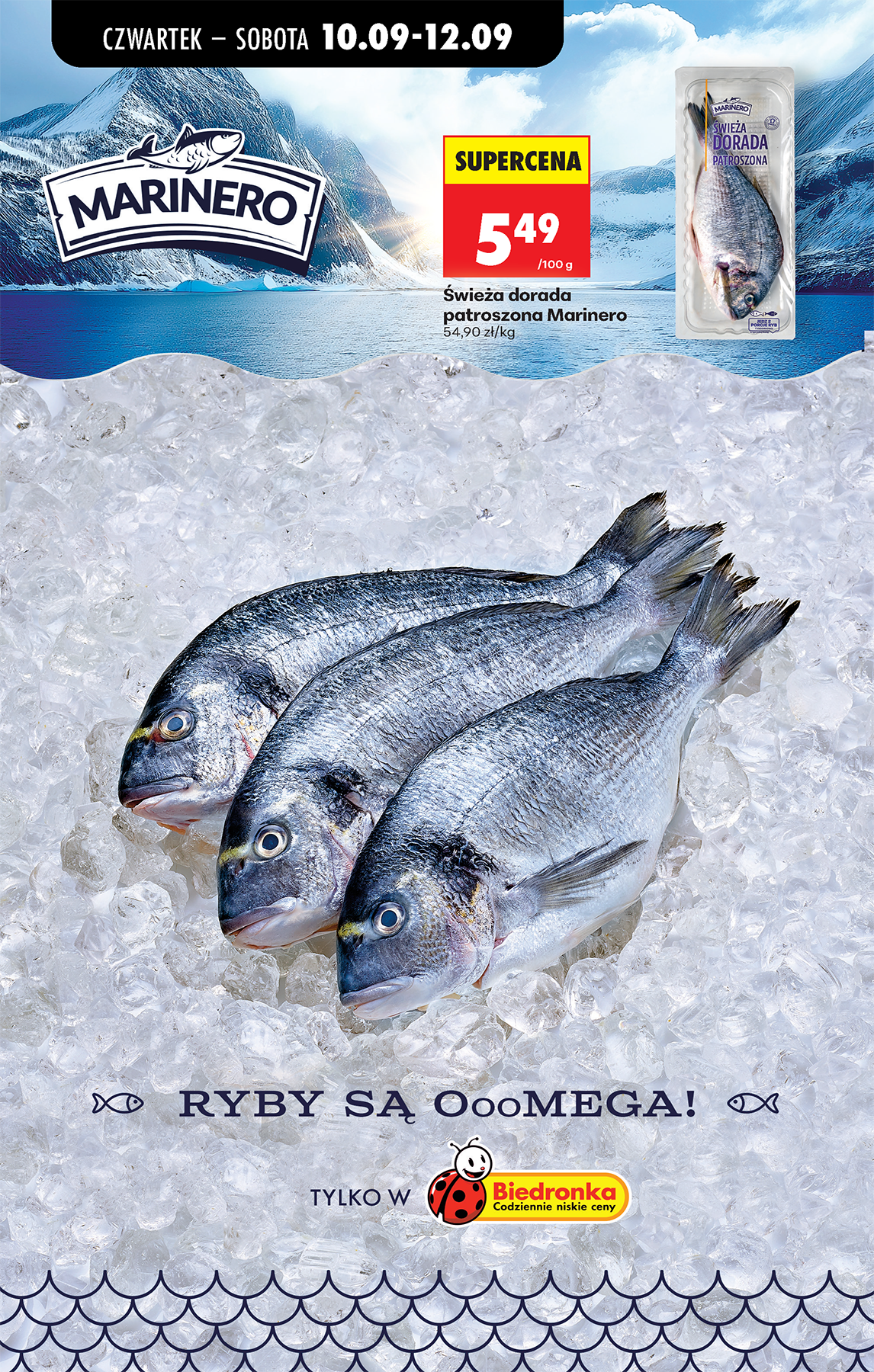 biedronka - Aktualna gazetka Biedronka ważna od 10.09.2026 do 16.09.2026 - page: 33