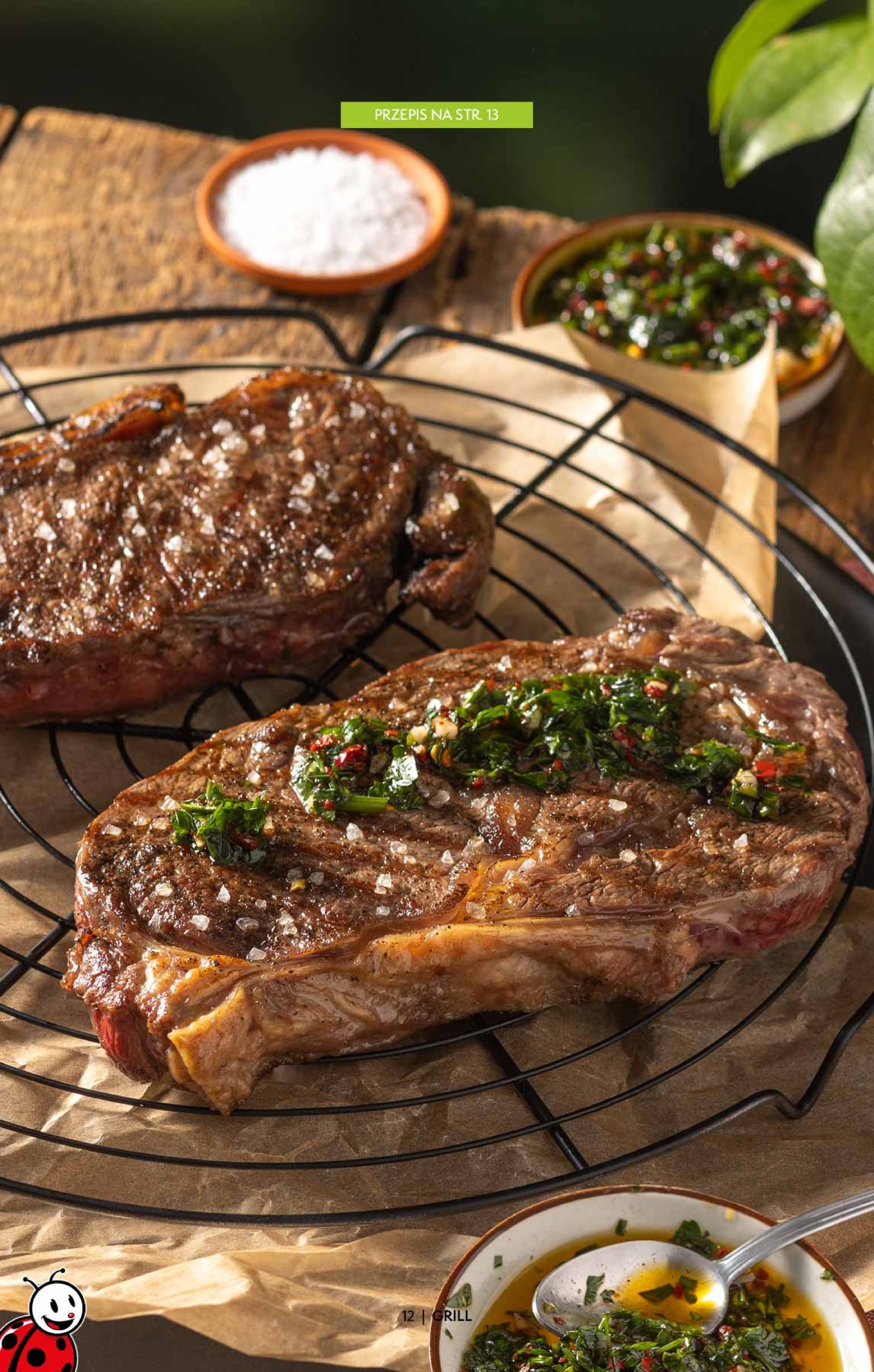 biedronka - Biedronka - Czas na grill gazetka ważna od 01.05. - 31.05. - page: 12
