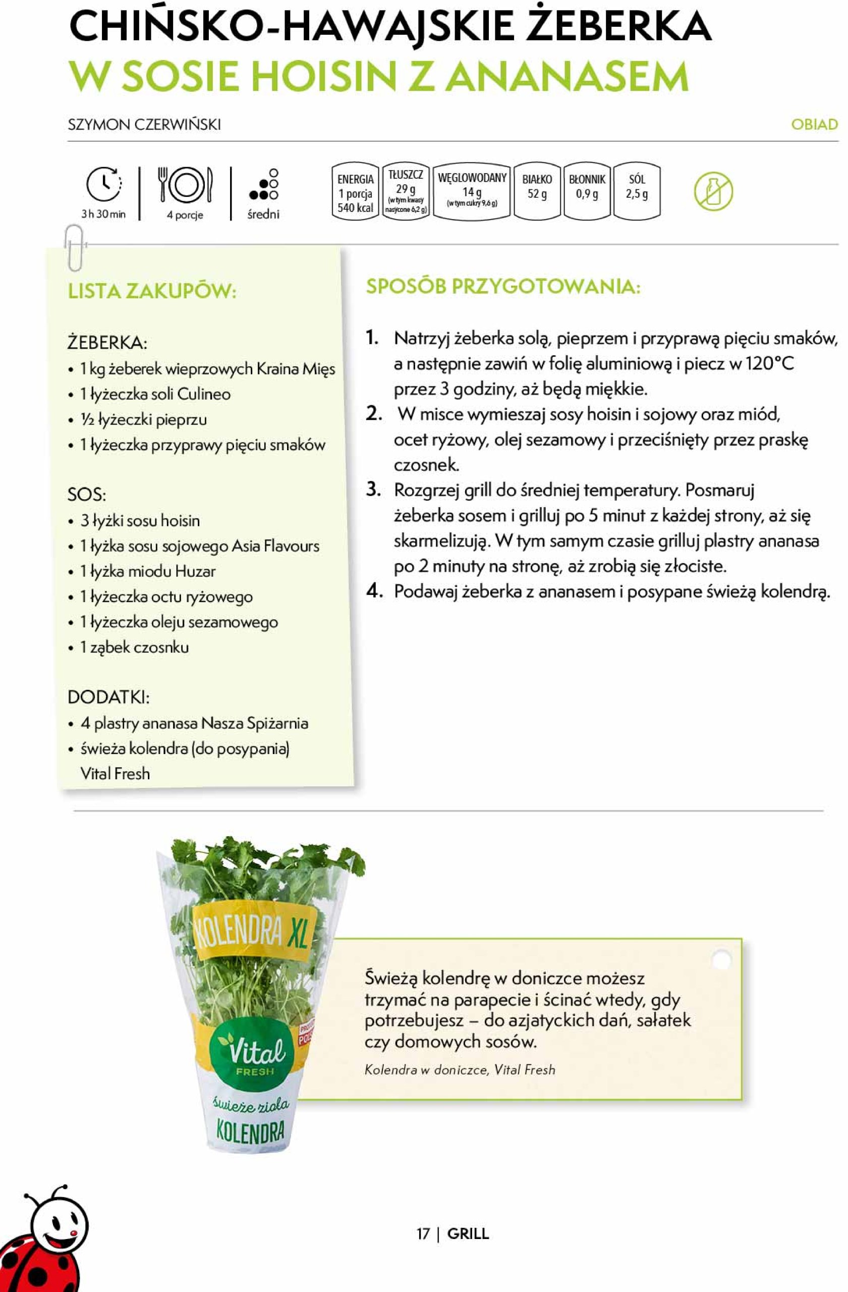 biedronka - Biedronka - Czas na grill gazetka ważna od 01.05. - 31.05. - page: 17