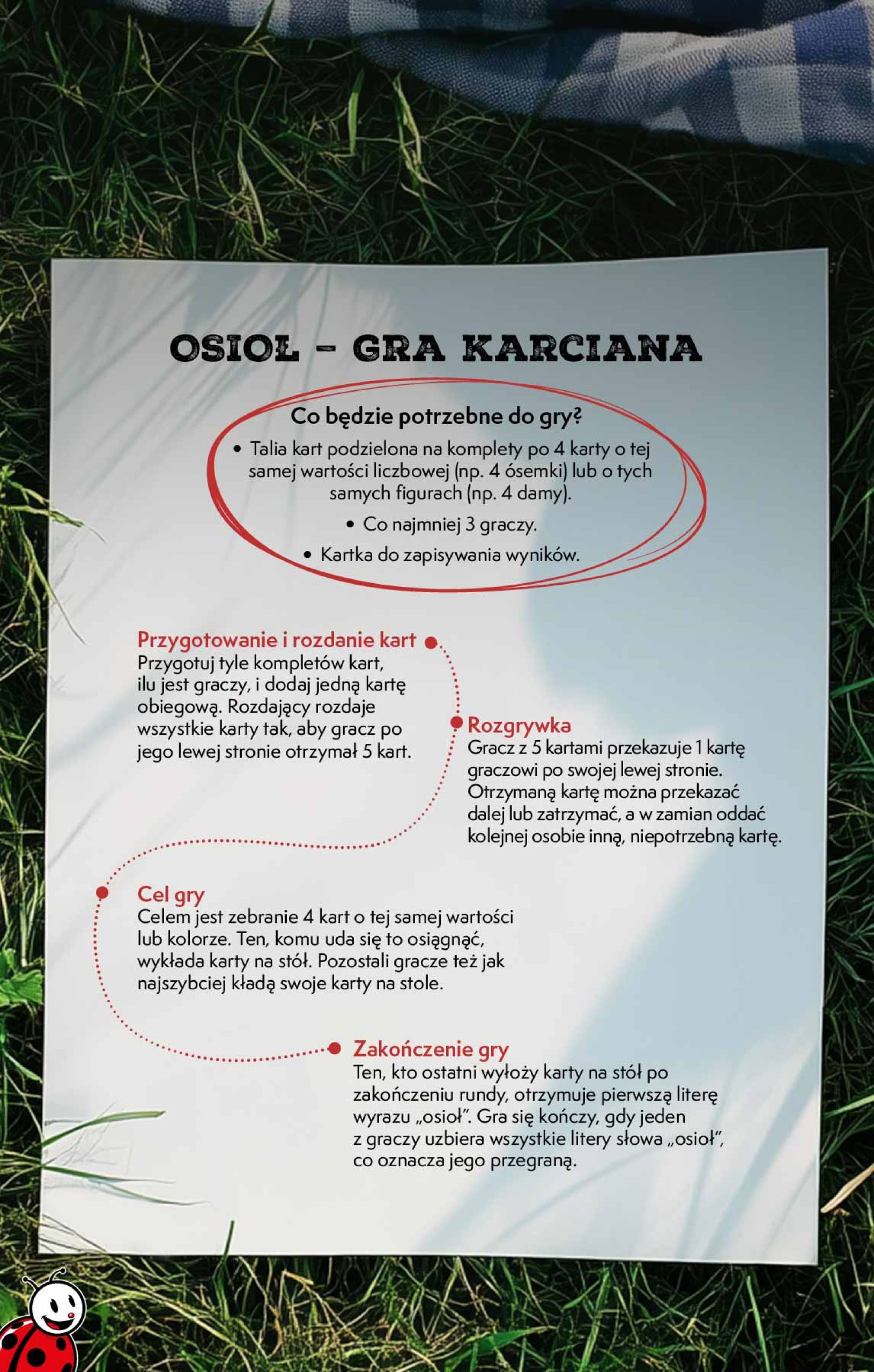 biedronka - Biedronka - Czas na grill gazetka ważna od 01.05. - 31.05. - page: 9
