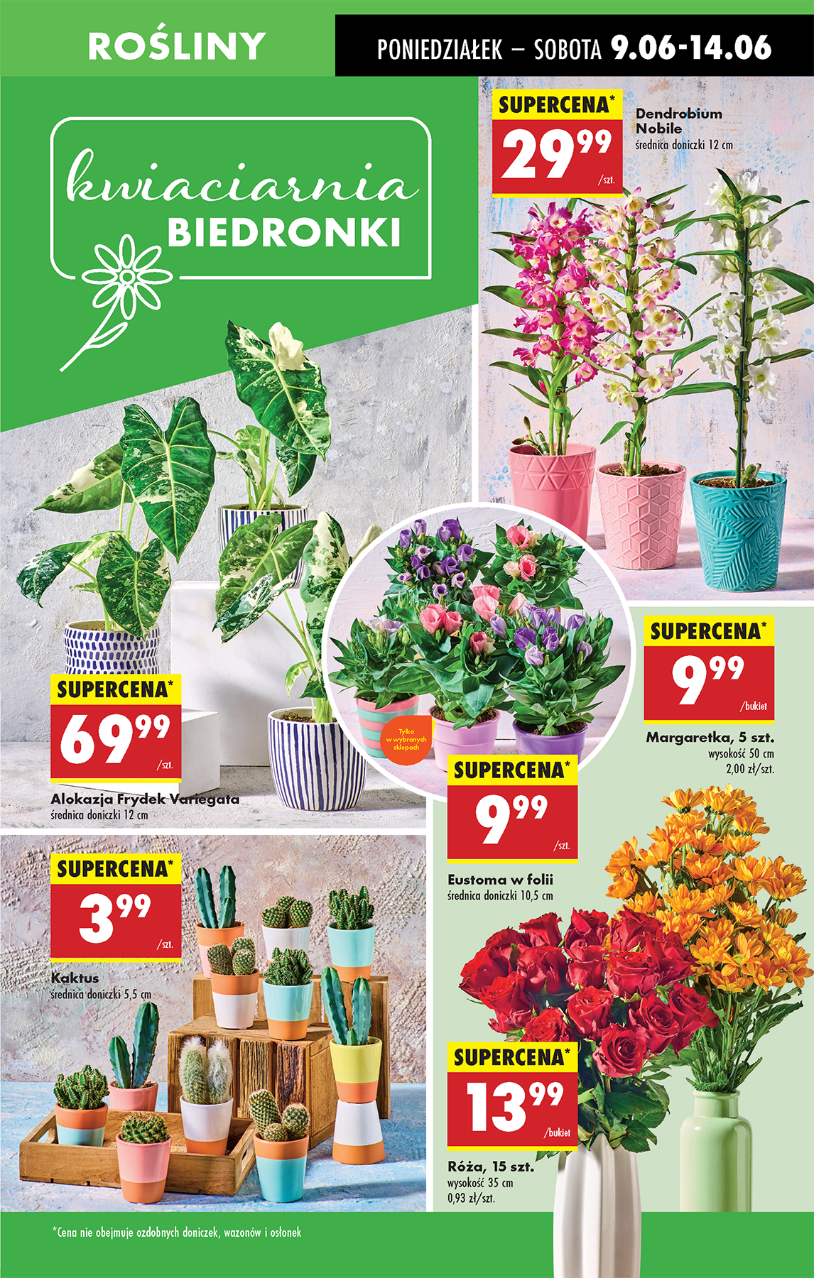biedronka - Gazetka Biedronka ważna od 09.06. - 14.06. - page: 19 biedronka - Gazetka Biedronka ważna od 09.06. - 14.06. - page: 19