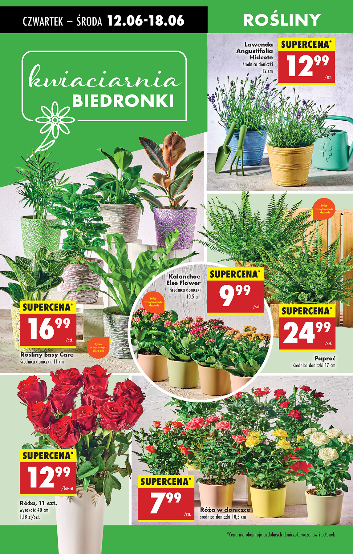 biedronka - Gazetka Biedronka ważna od 12.06. - 18.06. - page: 64 biedronka - Gazetka Biedronka ważna od 12.06. - 18.06. - page: 64