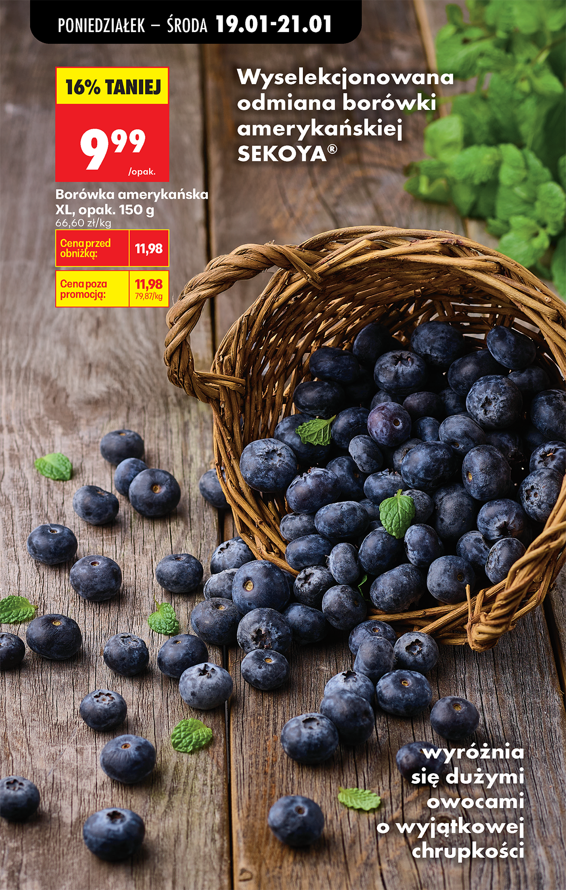 biedronka - Gazetka Biedronka - ważna od 19.01. do 24.01. - page: 34