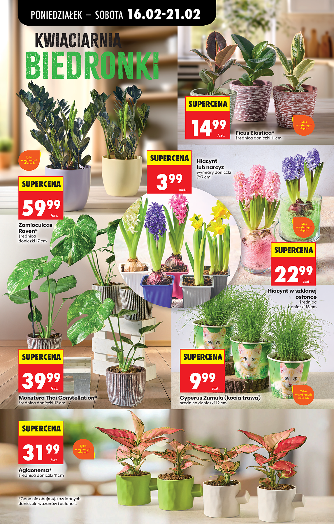 biedronka - Gazetka Biedronka - ważna od 16.02.2026 do 21.02.2026 - page: 28